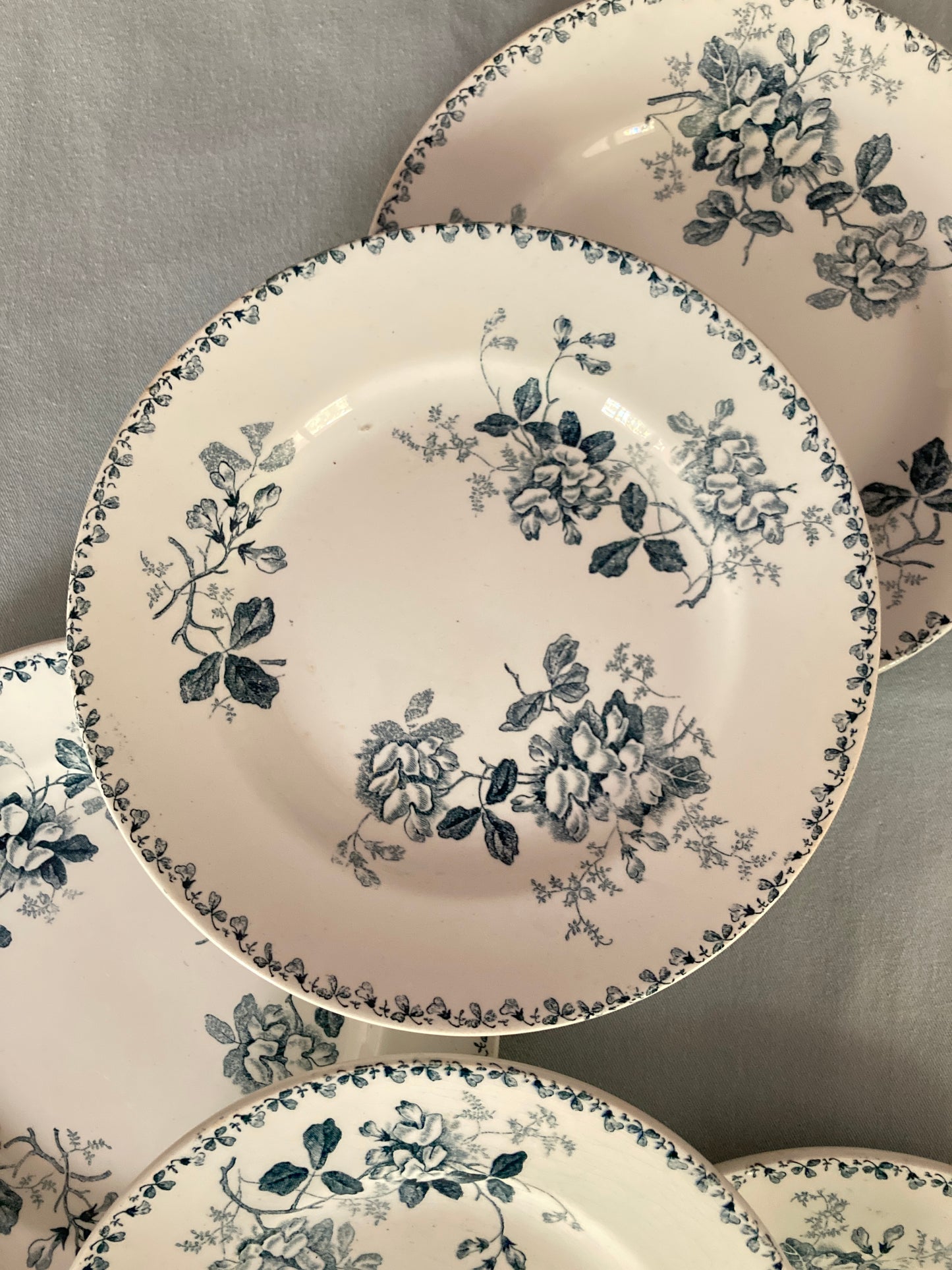 Acacia - 5 Assiettes Plates