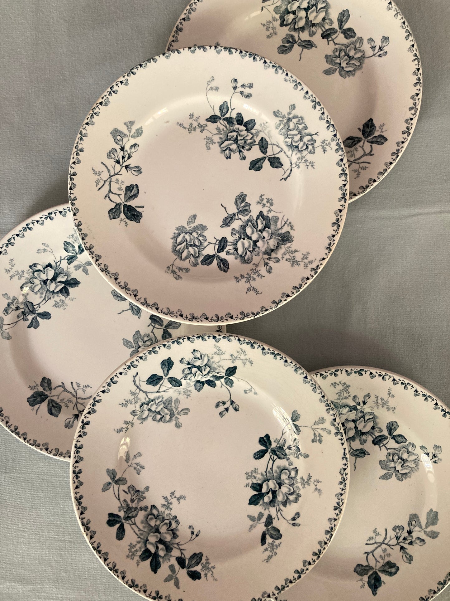 Acacia - 5 Assiettes Plates