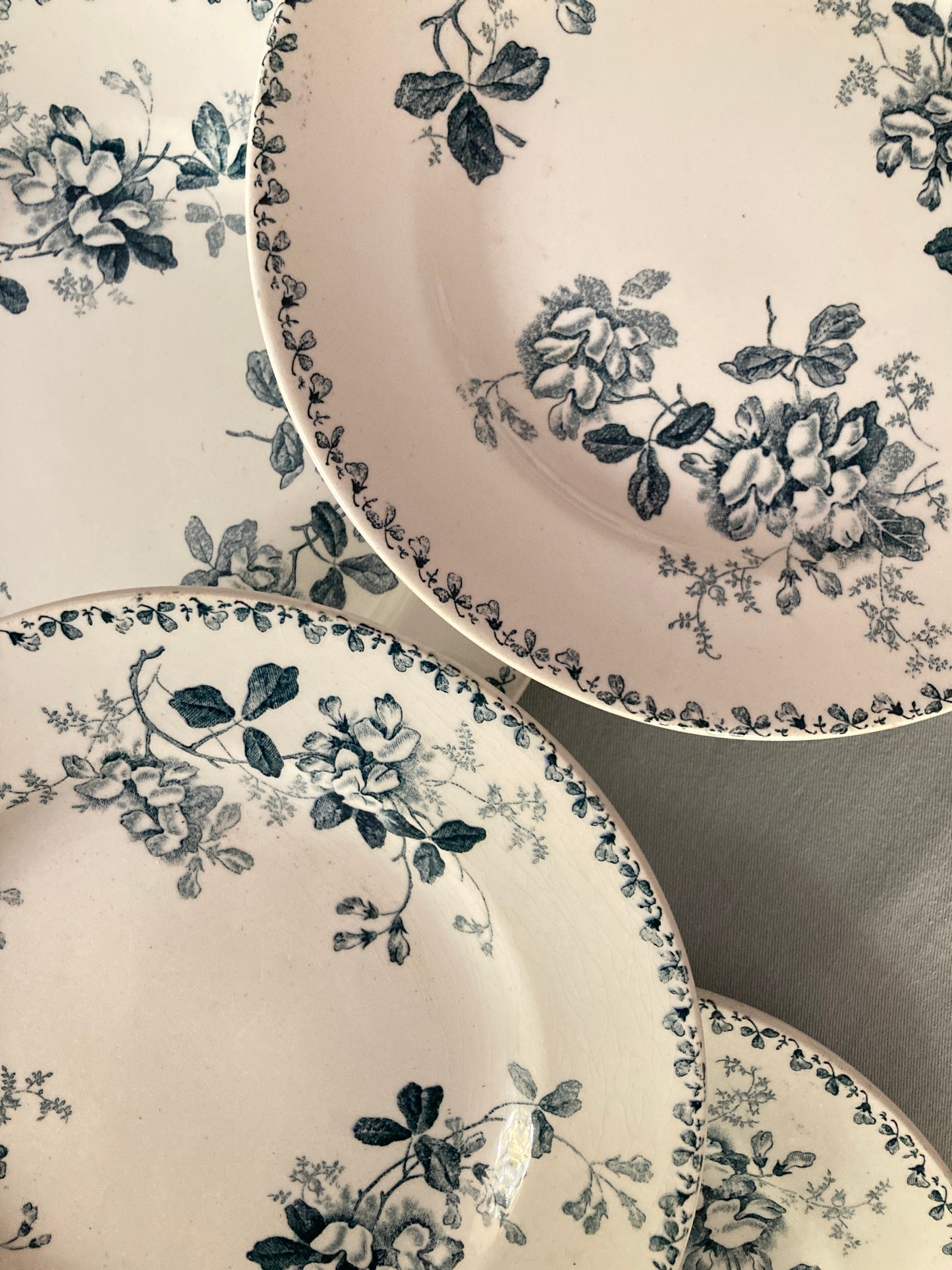 Acacia - 5 Assiettes Plates