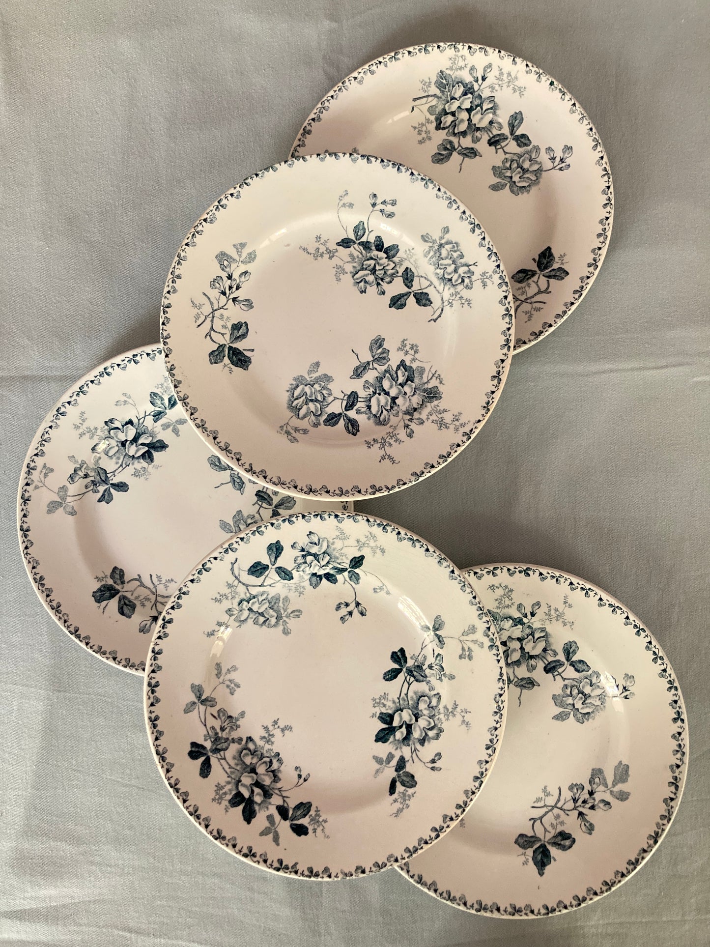 Acacia - 5 Assiettes Plates