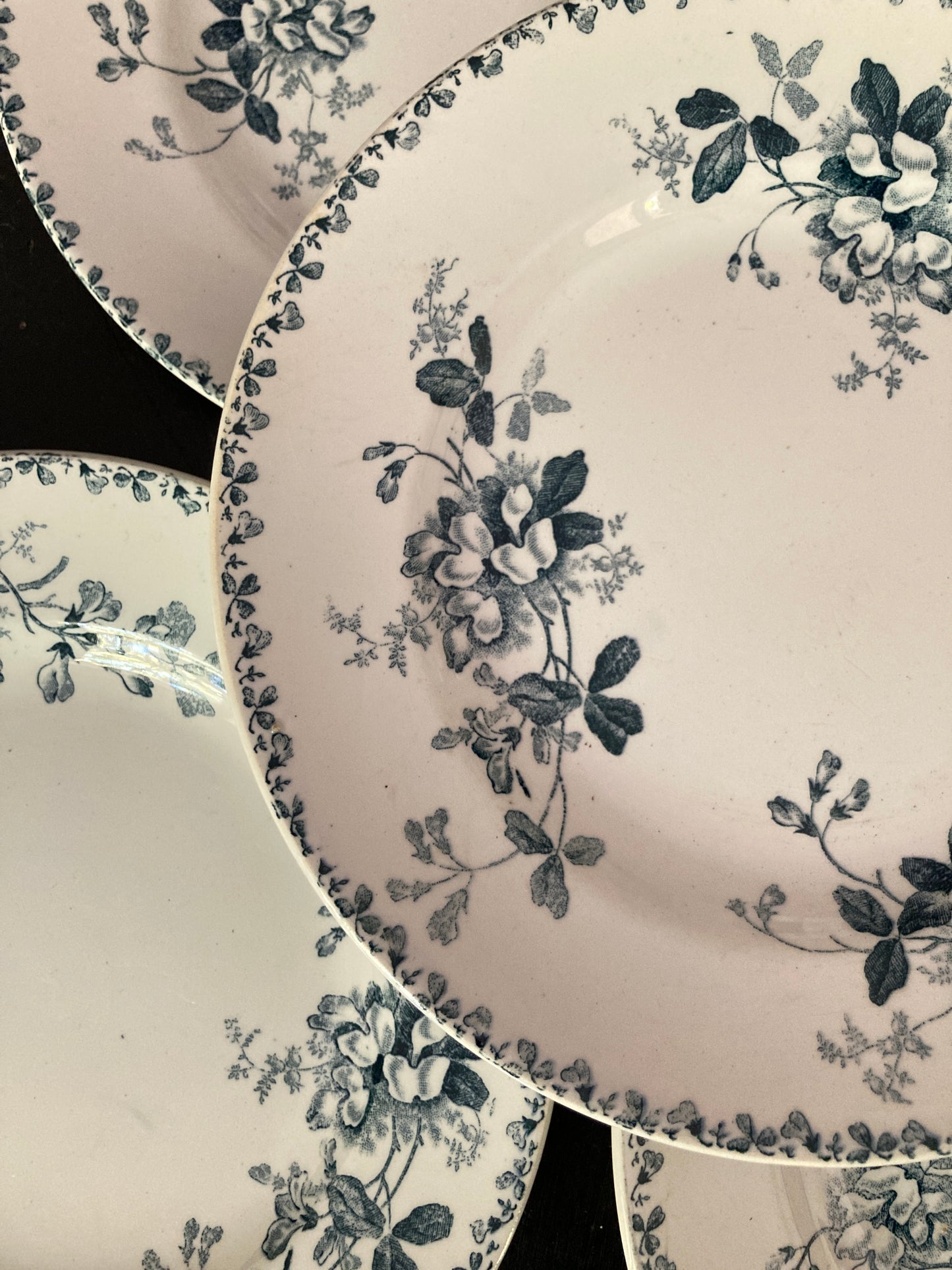 Acacia - 5 Assiettes Plates