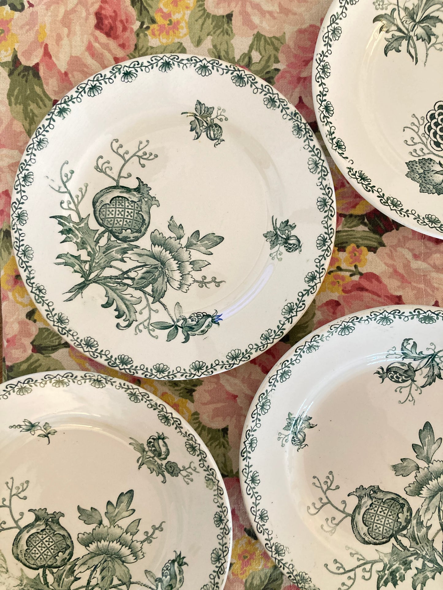 Alma - 6 Dinner Plates