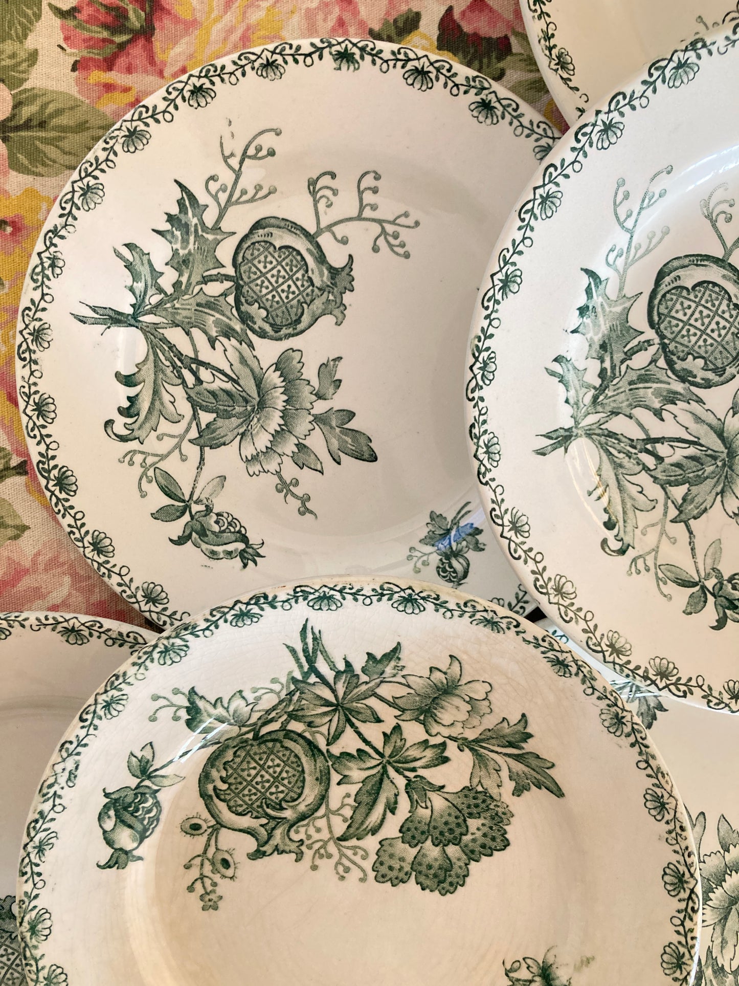 Alma - 6 Dinner Plates