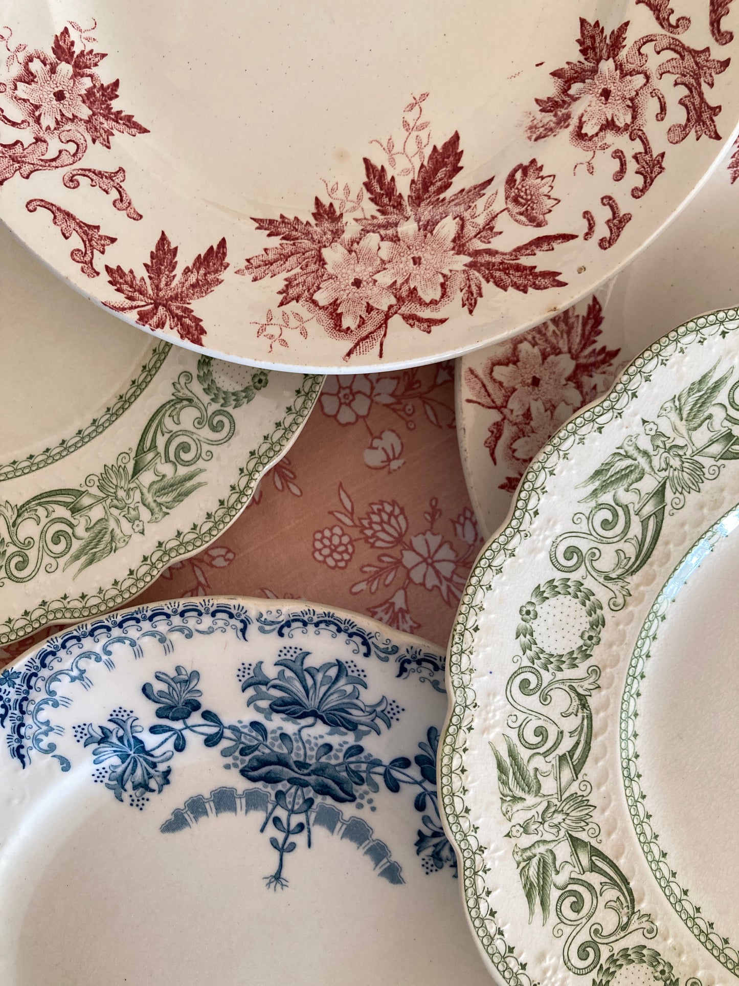 Anemone - 6 Dinner Plates