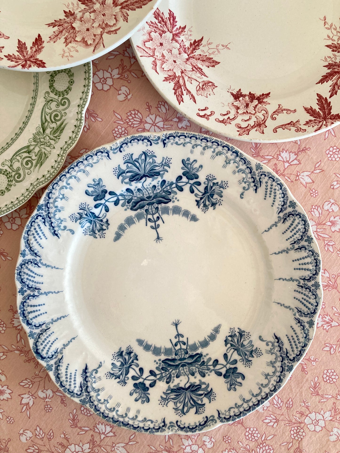 Anemone - 6 Dinner Plates