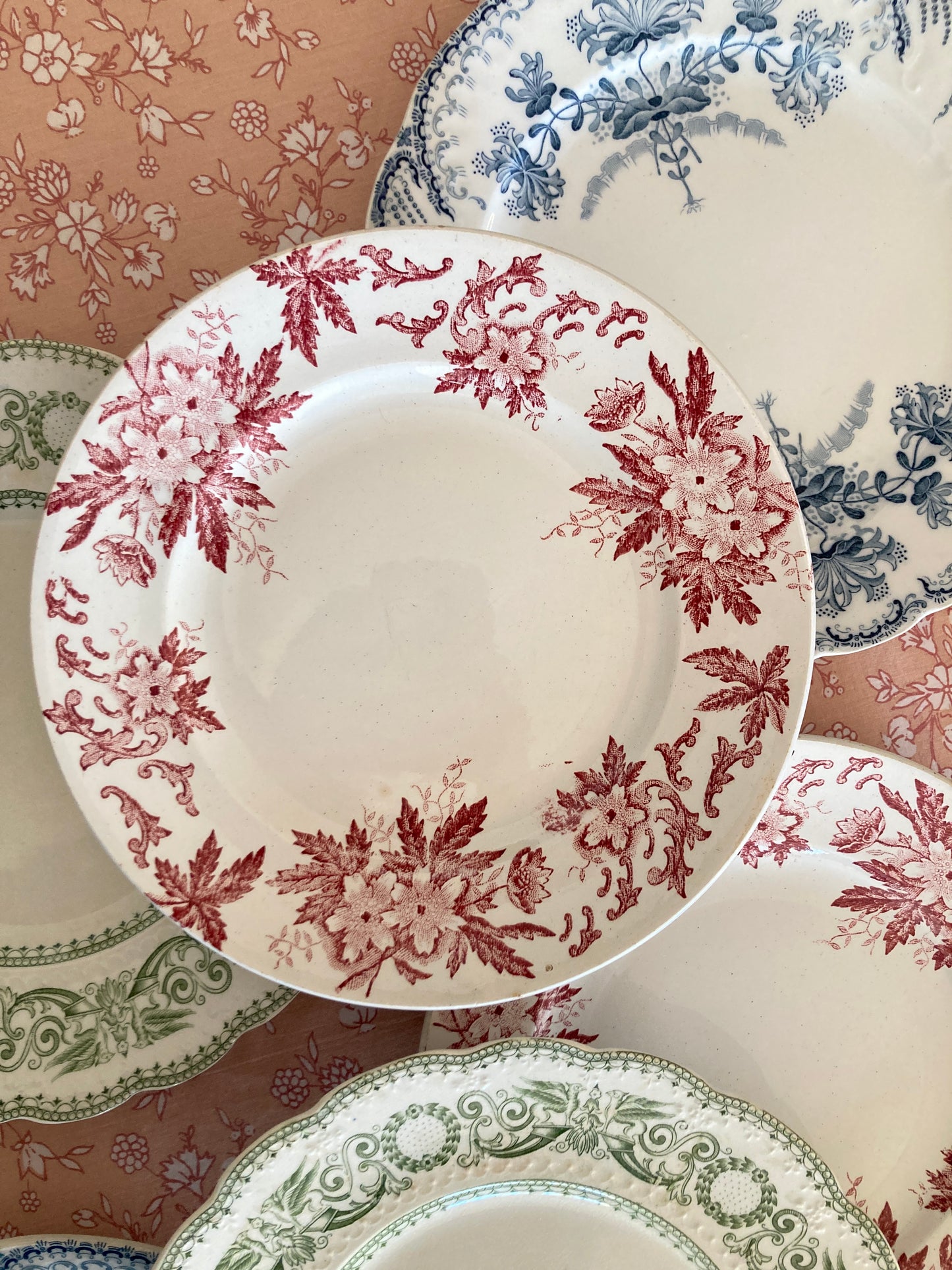 Anemone - 6 Dinner Plates