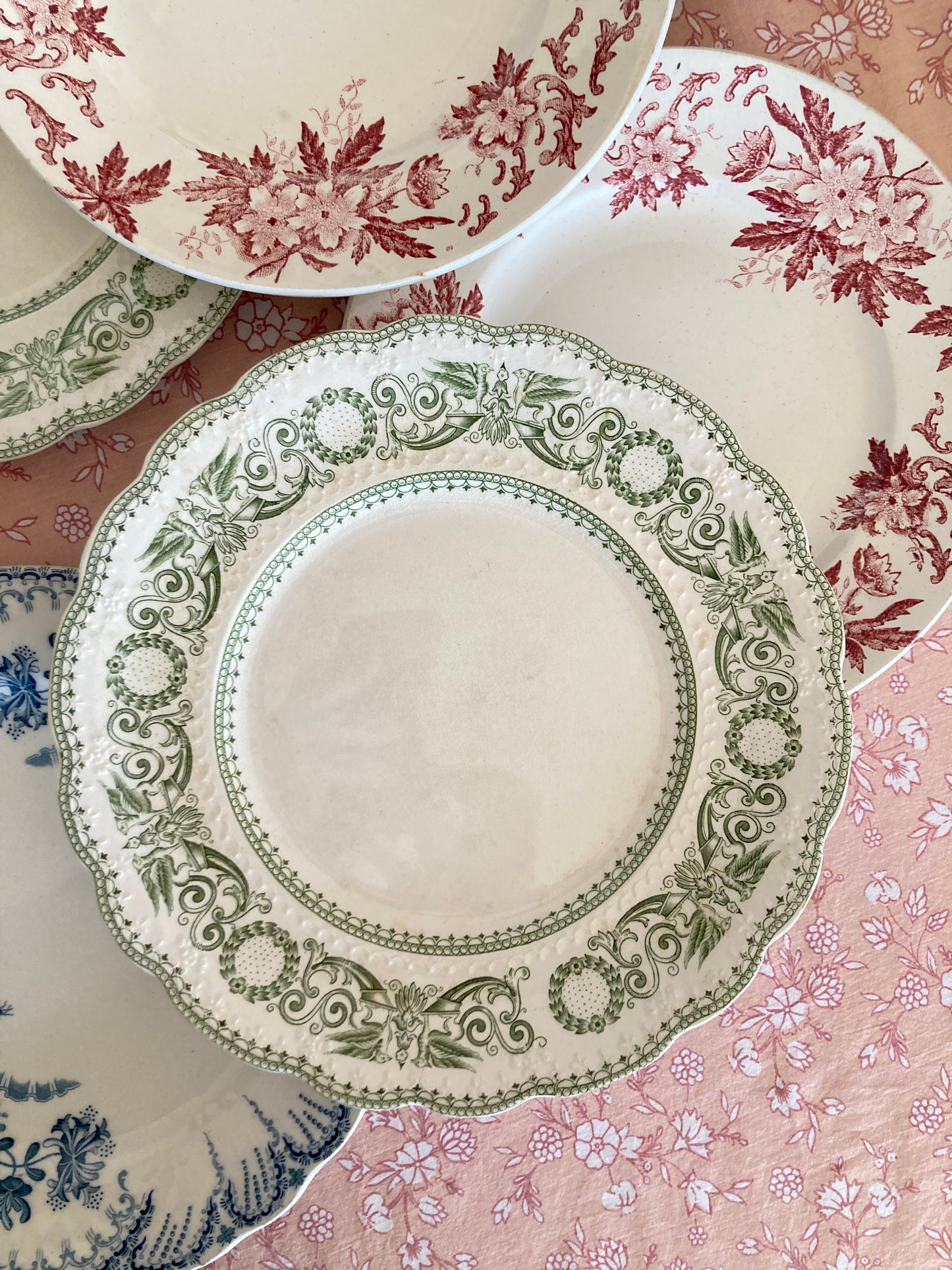 Anemone - 6 Dinner Plates
