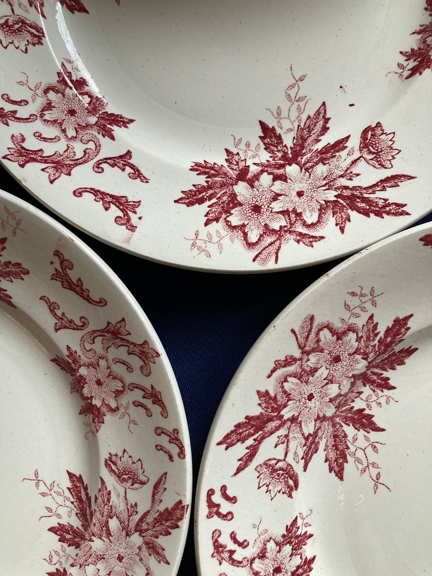 Anémones - 6 Assiettes Plates