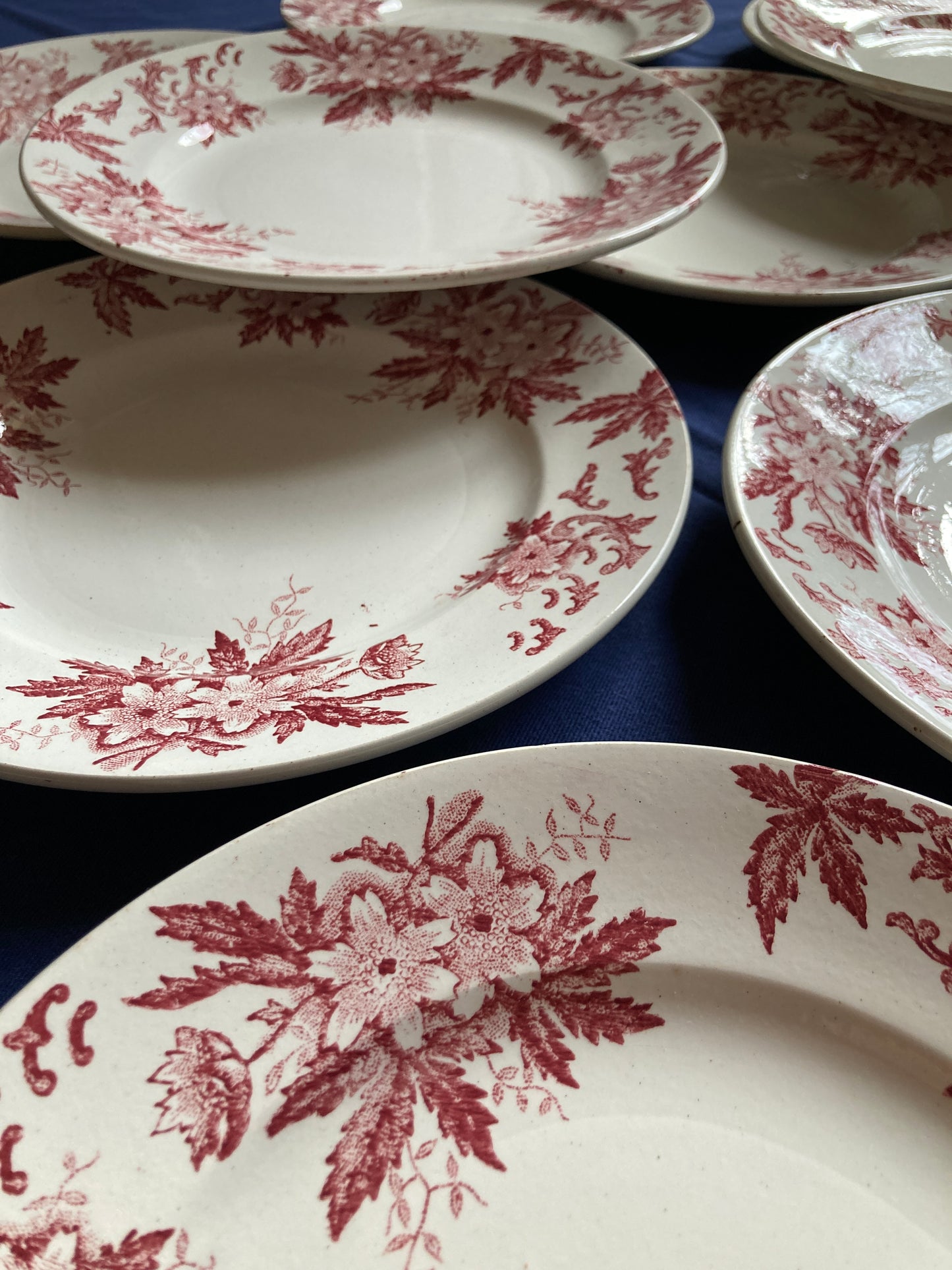 Anémones - 6 Assiettes Plates