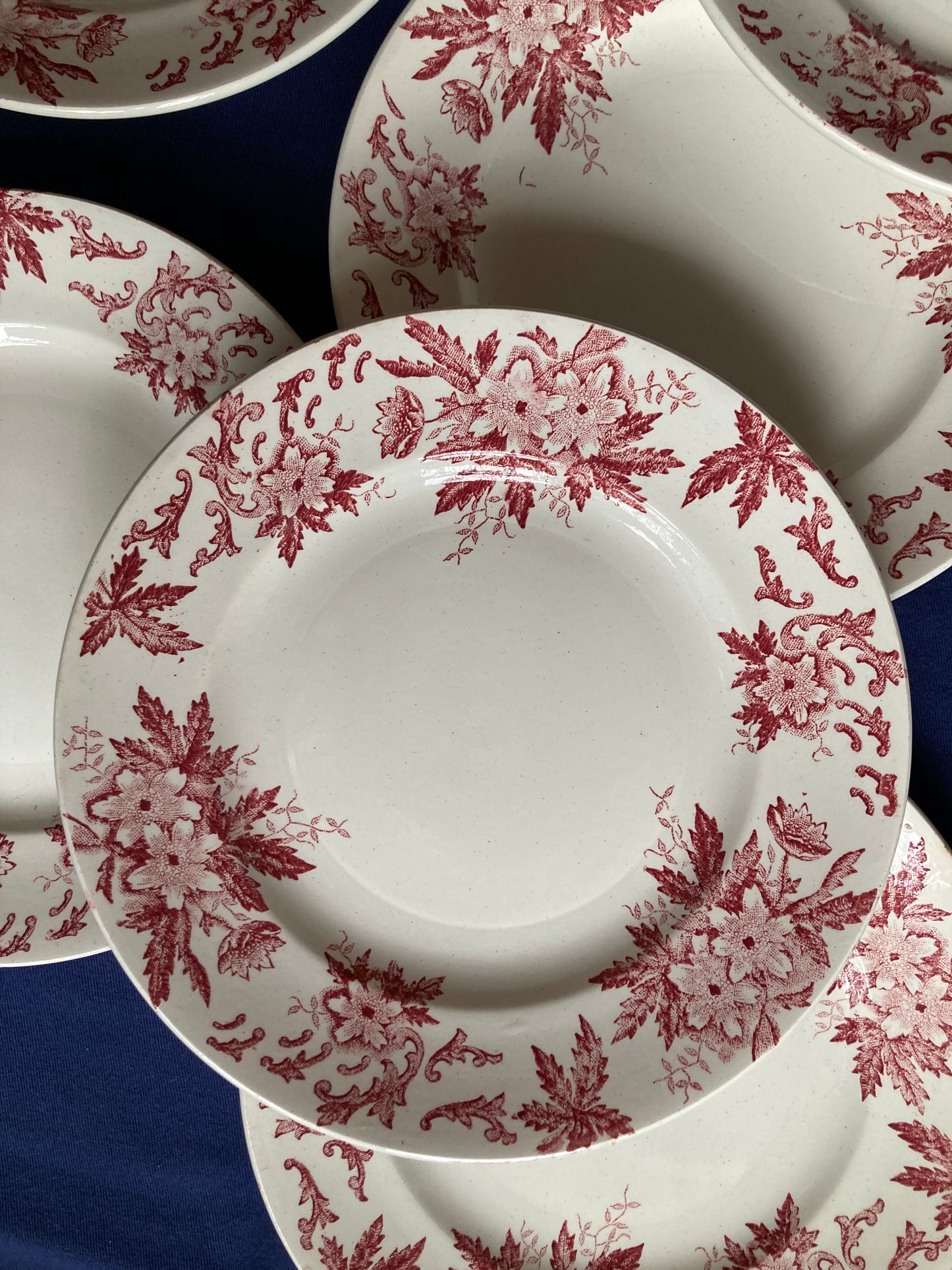 Anémones - 6 Assiettes Plates