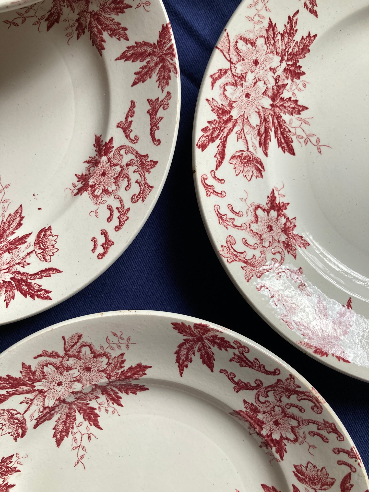 Anémones - 6 Assiettes Plates