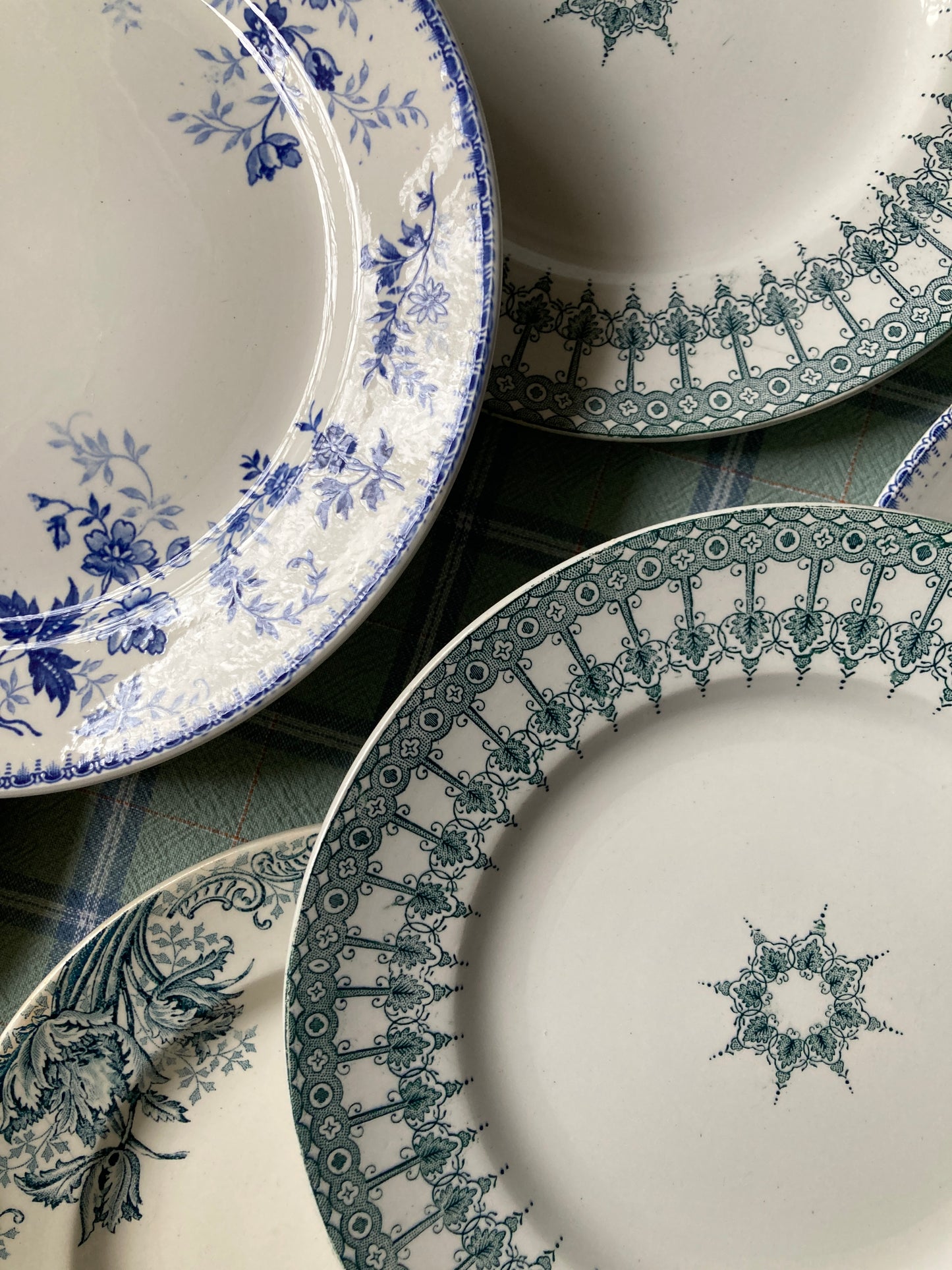 Perse - 6 Assiettes Plates