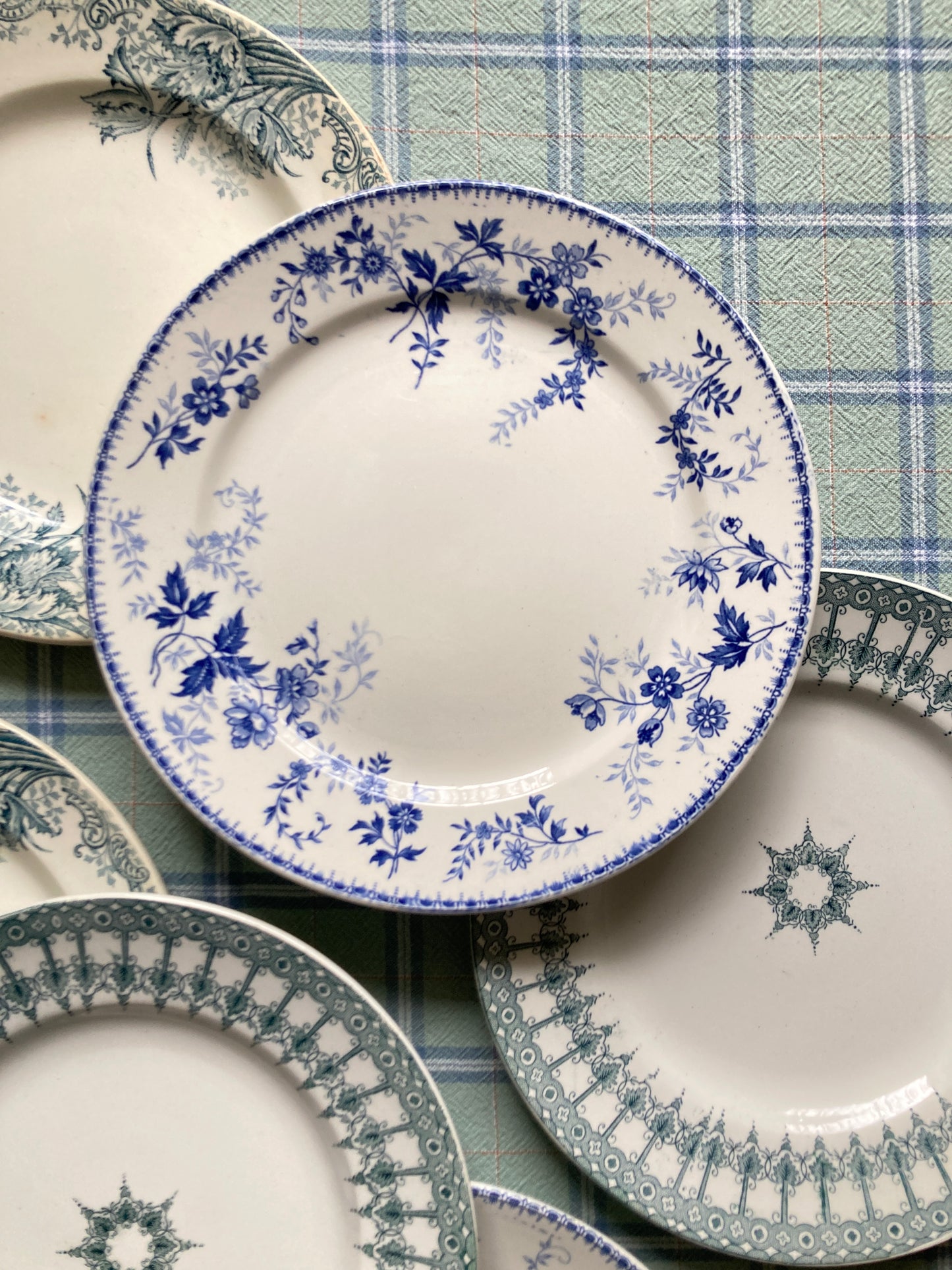 Perse - 6 Assiettes Plates