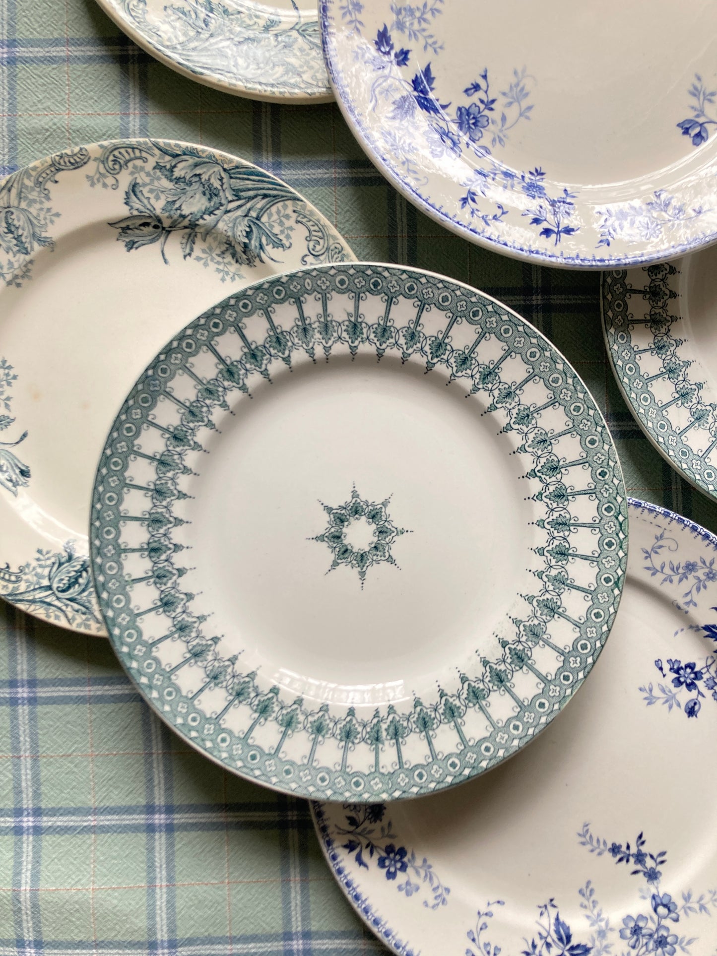 Perse - 6 Assiettes Plates