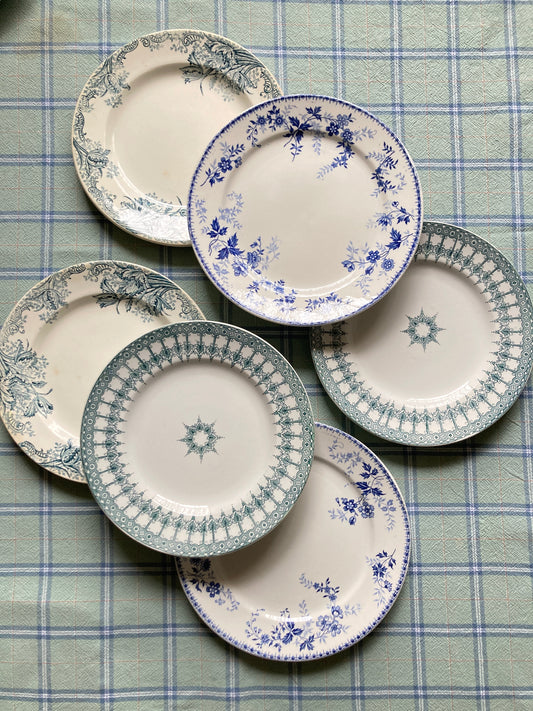 Perse - 6 Assiettes Plates