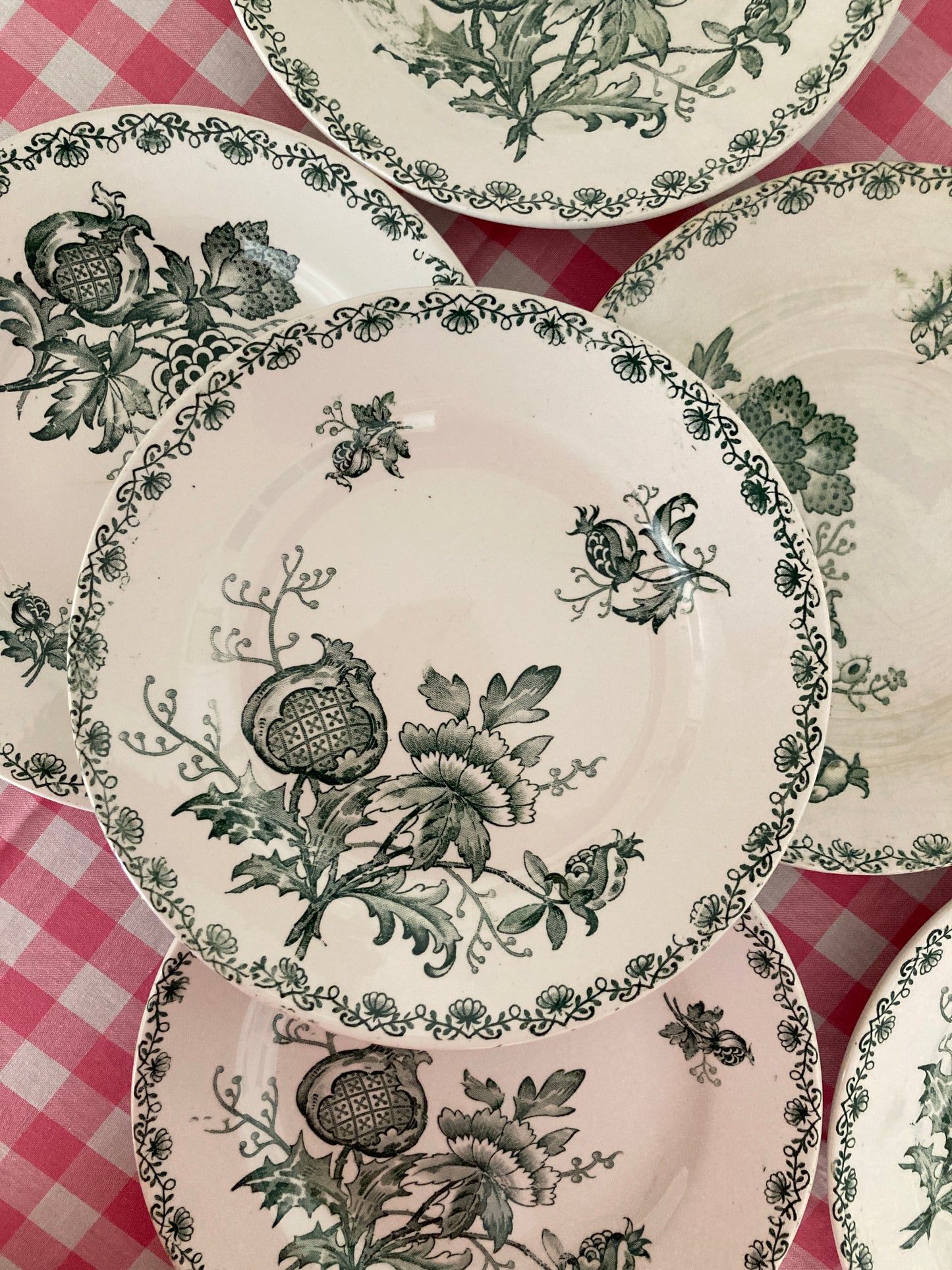 Alma - 6 Soup Plates