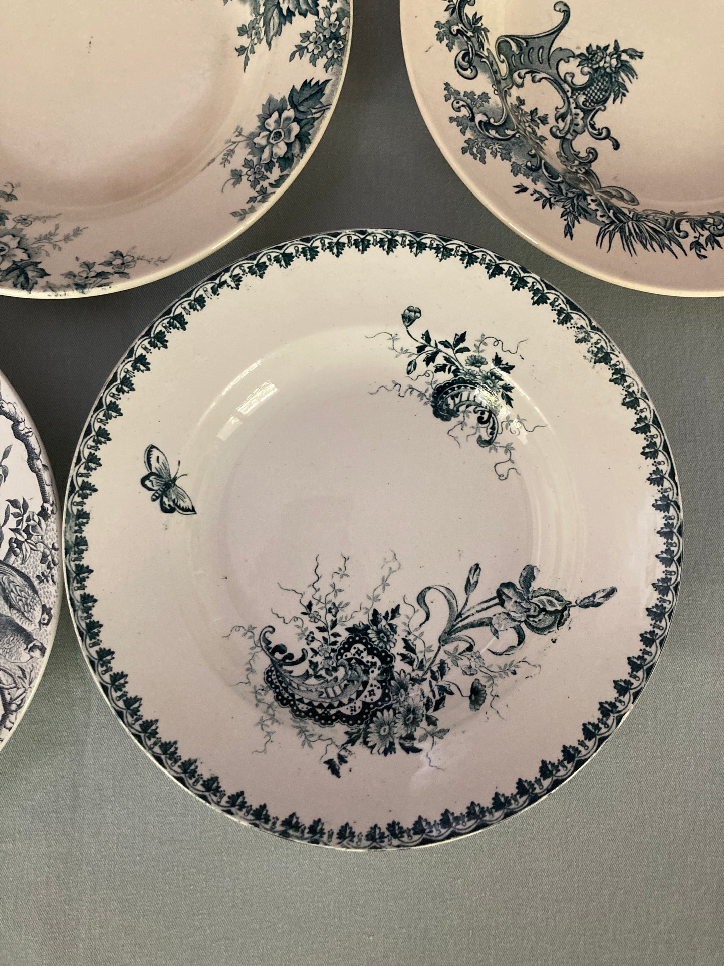 Multico - 6 Assiettes Creuses