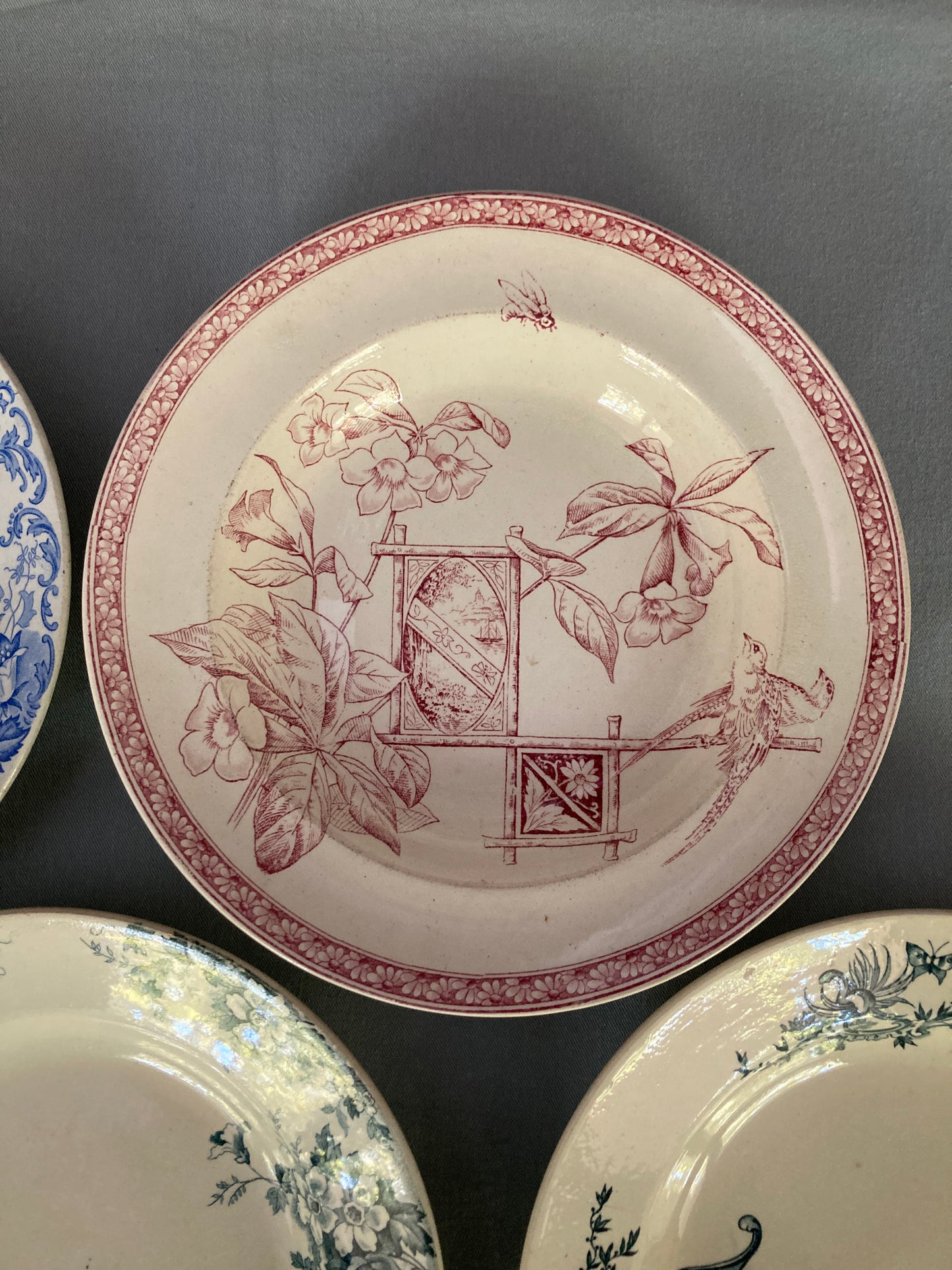 Multico - 6 Assiettes Creuses