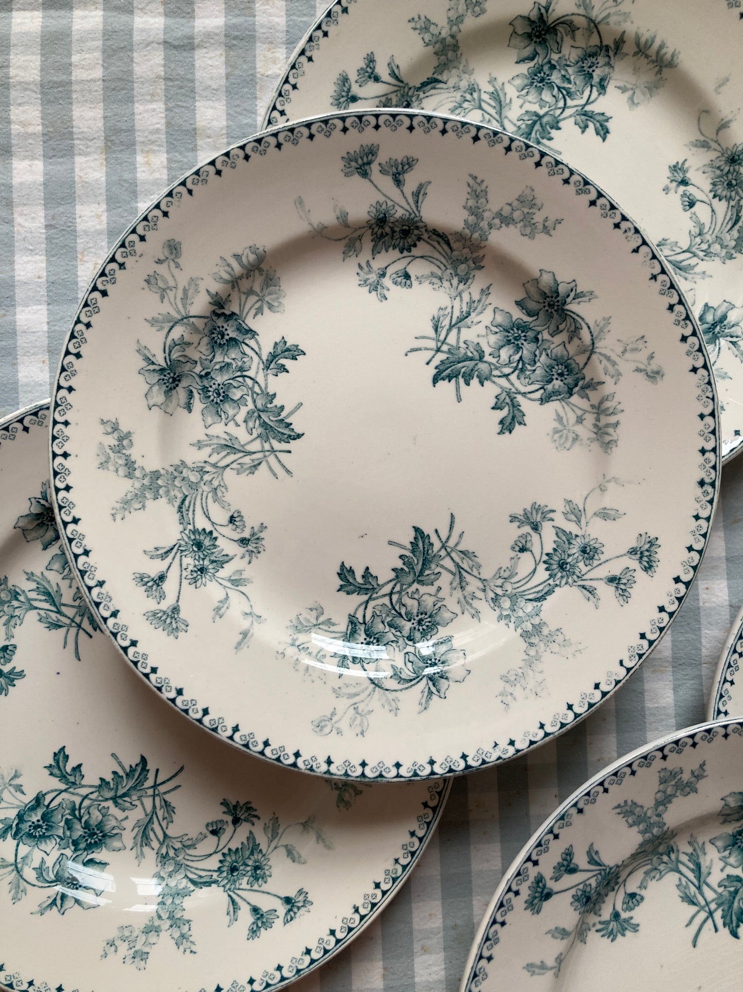 Persia - 6 Dinner Plates