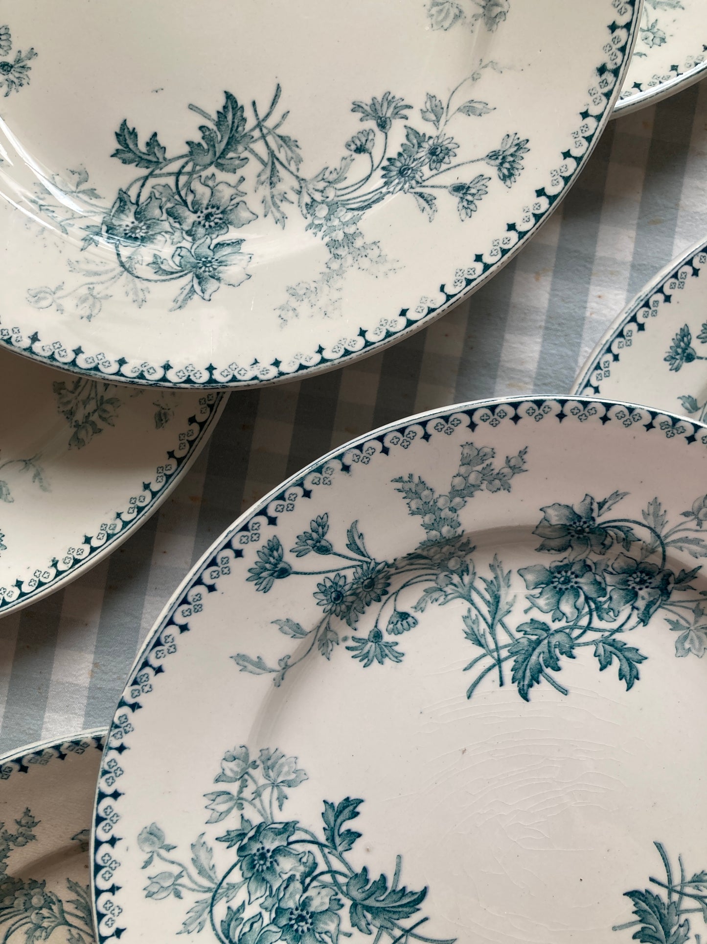Persia - 6 Dinner Plates
