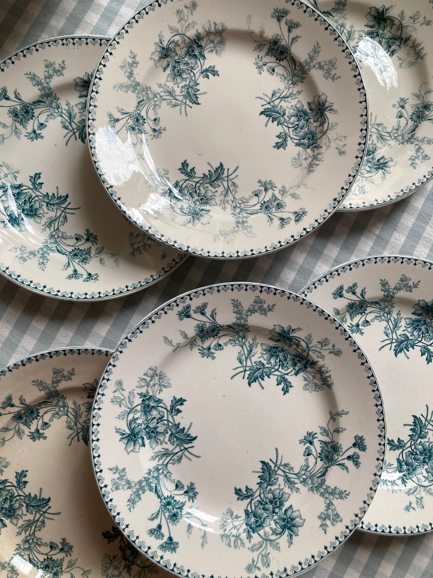Persia - 6 Dinner Plates