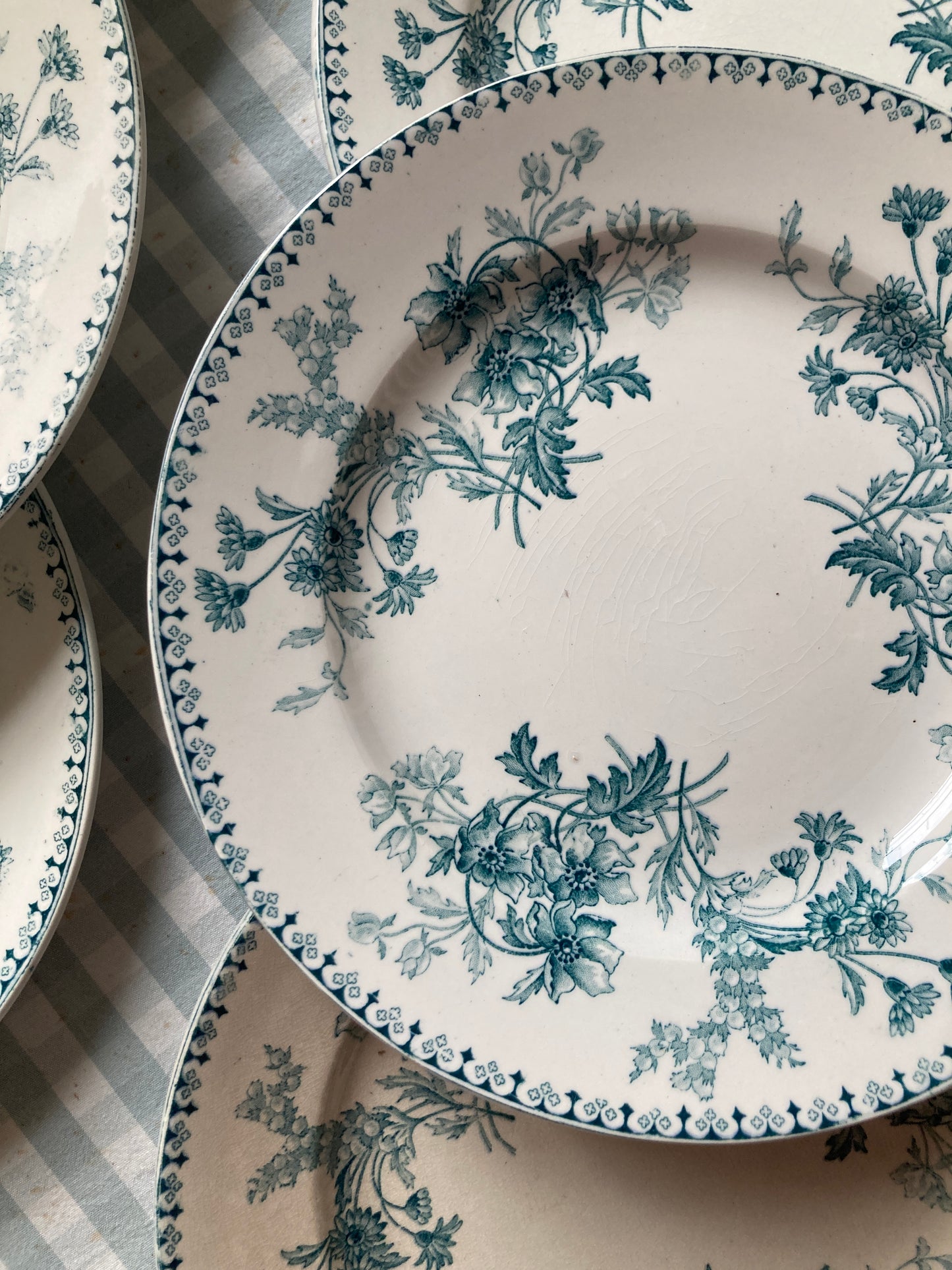 Persia - 6 Dinner Plates