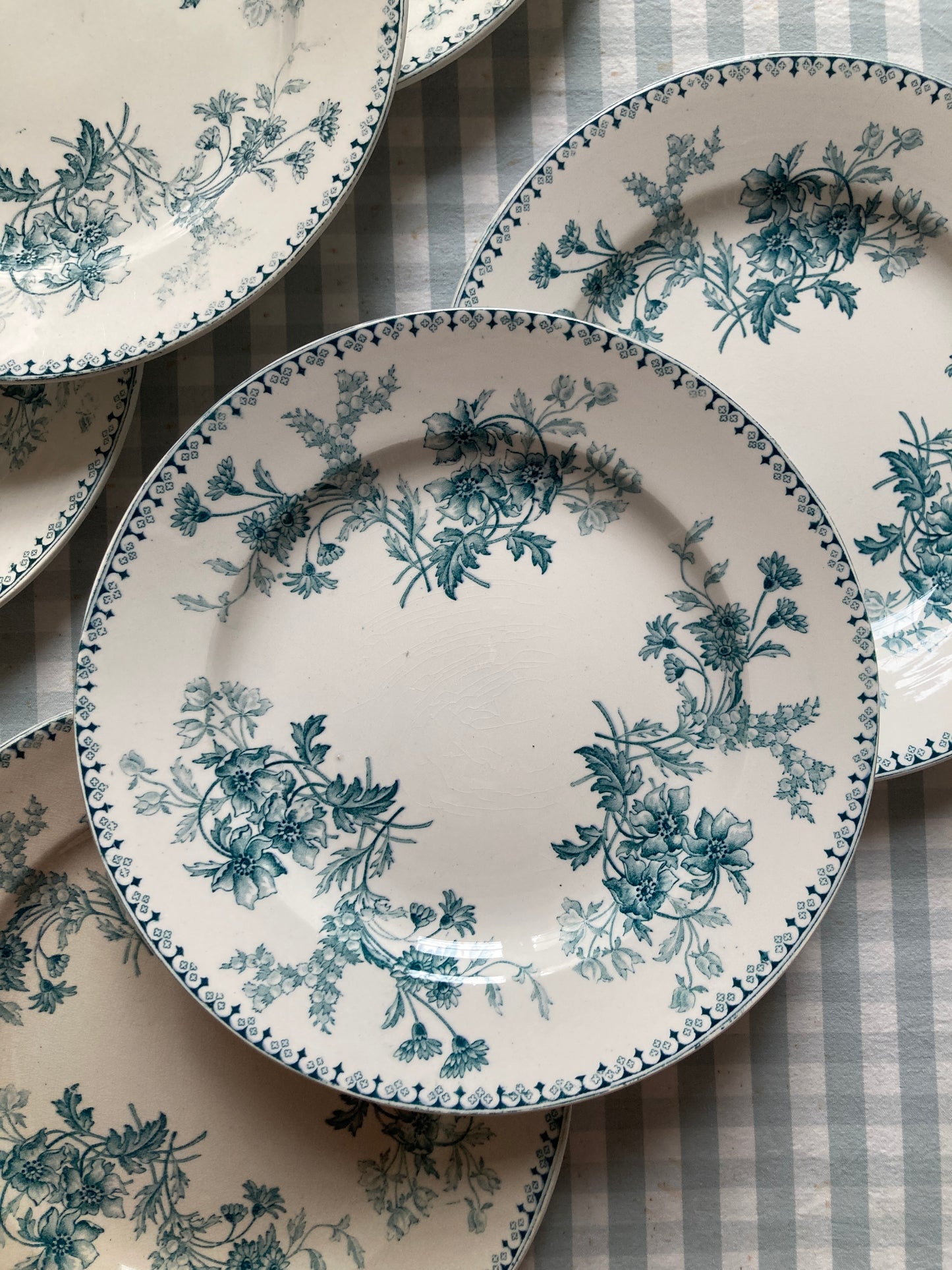 Persia - 6 Dinner Plates