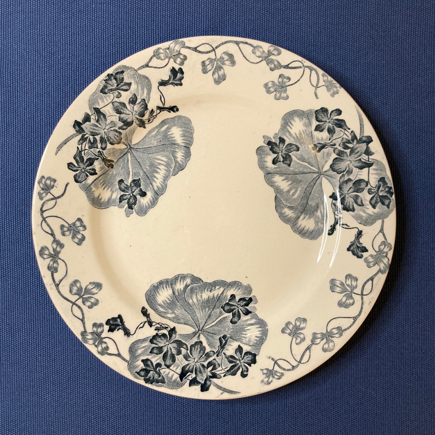 Les Violettes Ø24cm