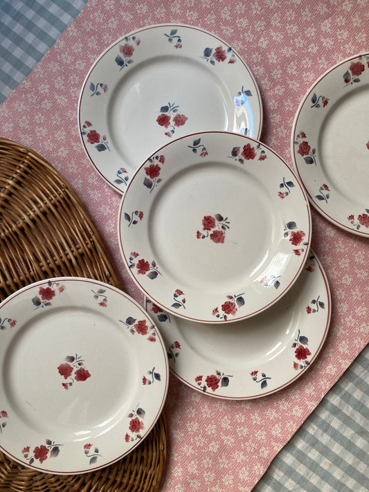 France - 5 Assiettes plates
