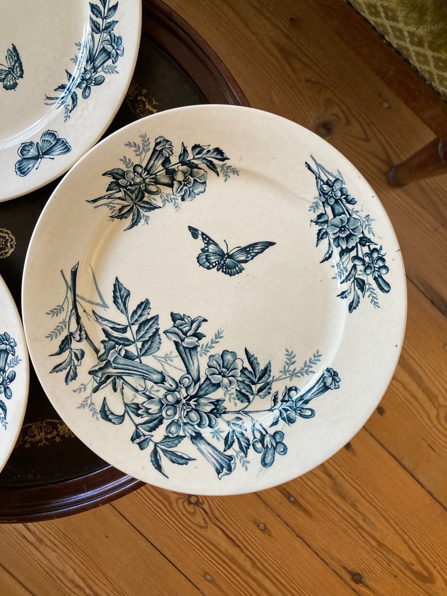 Jasmin de Virginie - 3 Assiettes Plates