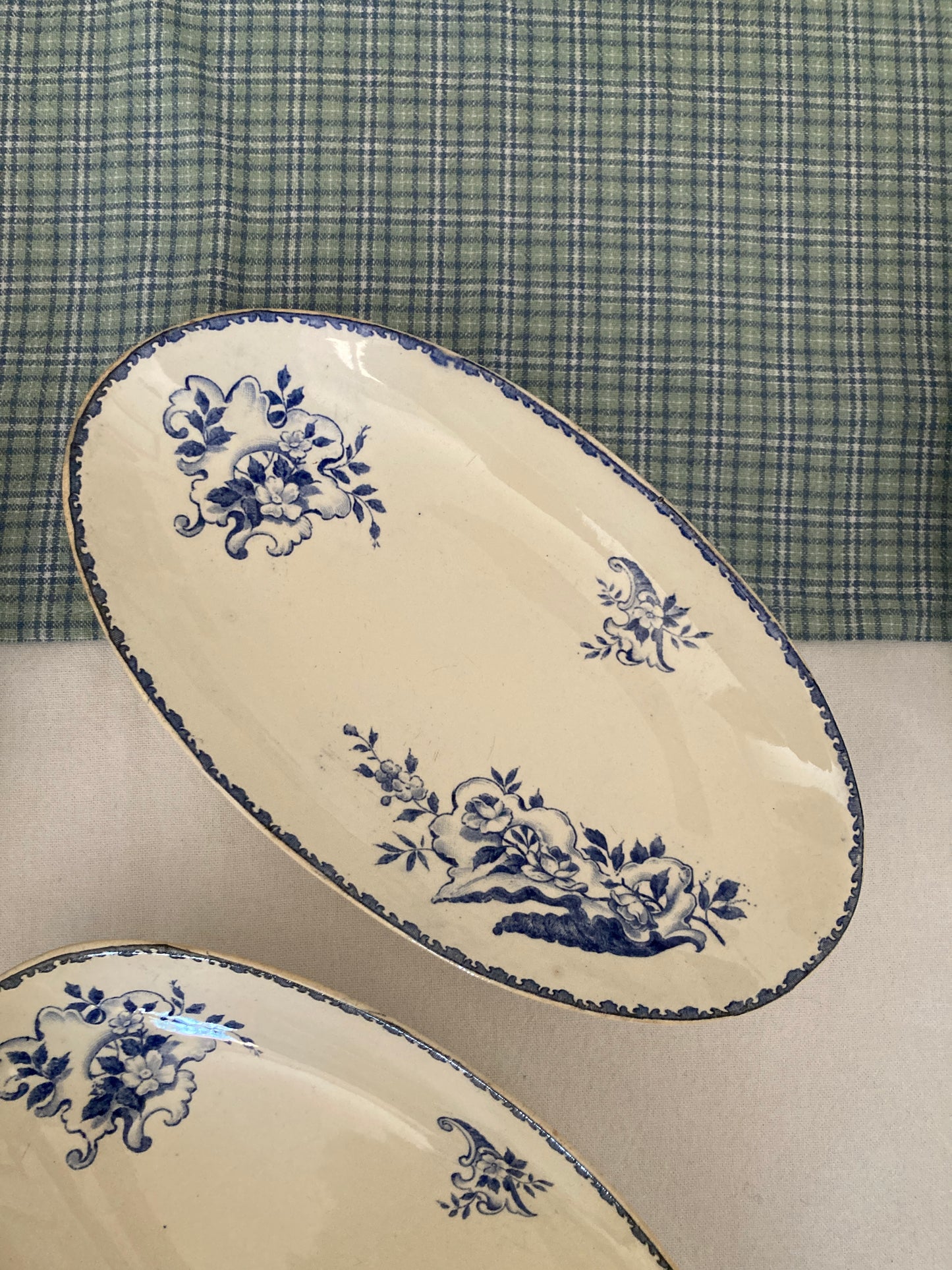 Coquillages - Duo de Raviers