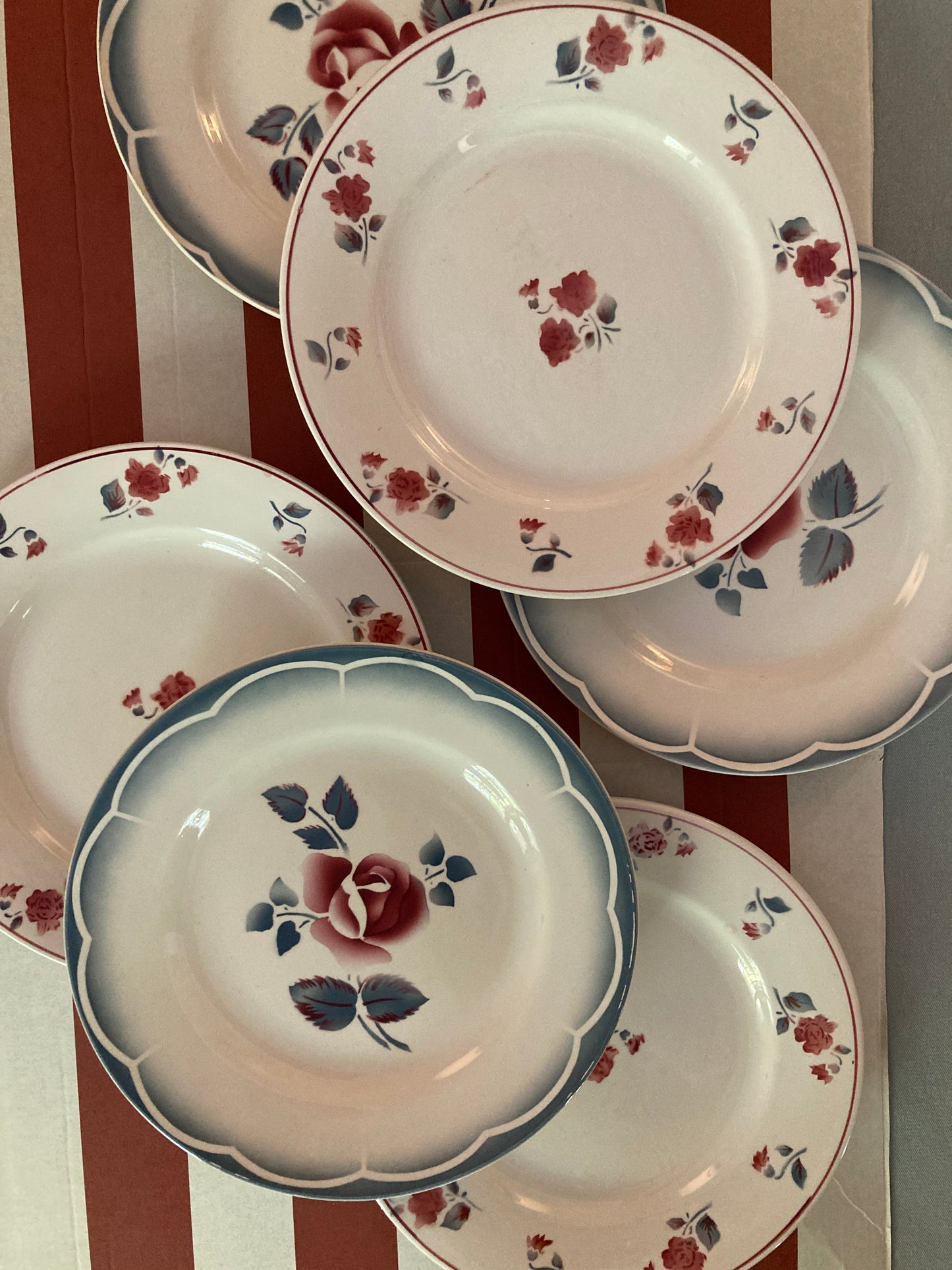 Roses - 6 Assiettes plates