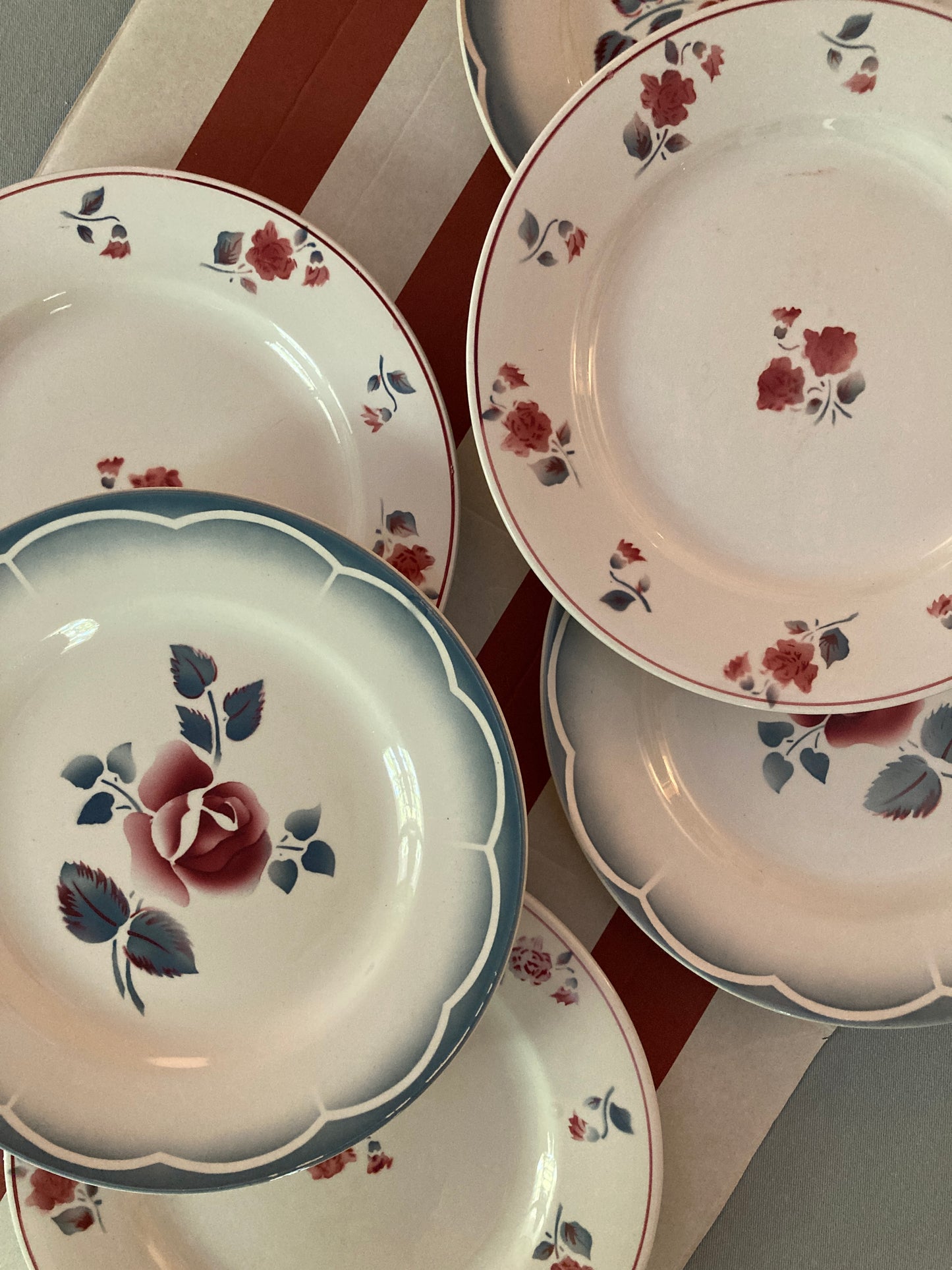 Roses - 6 Assiettes plates