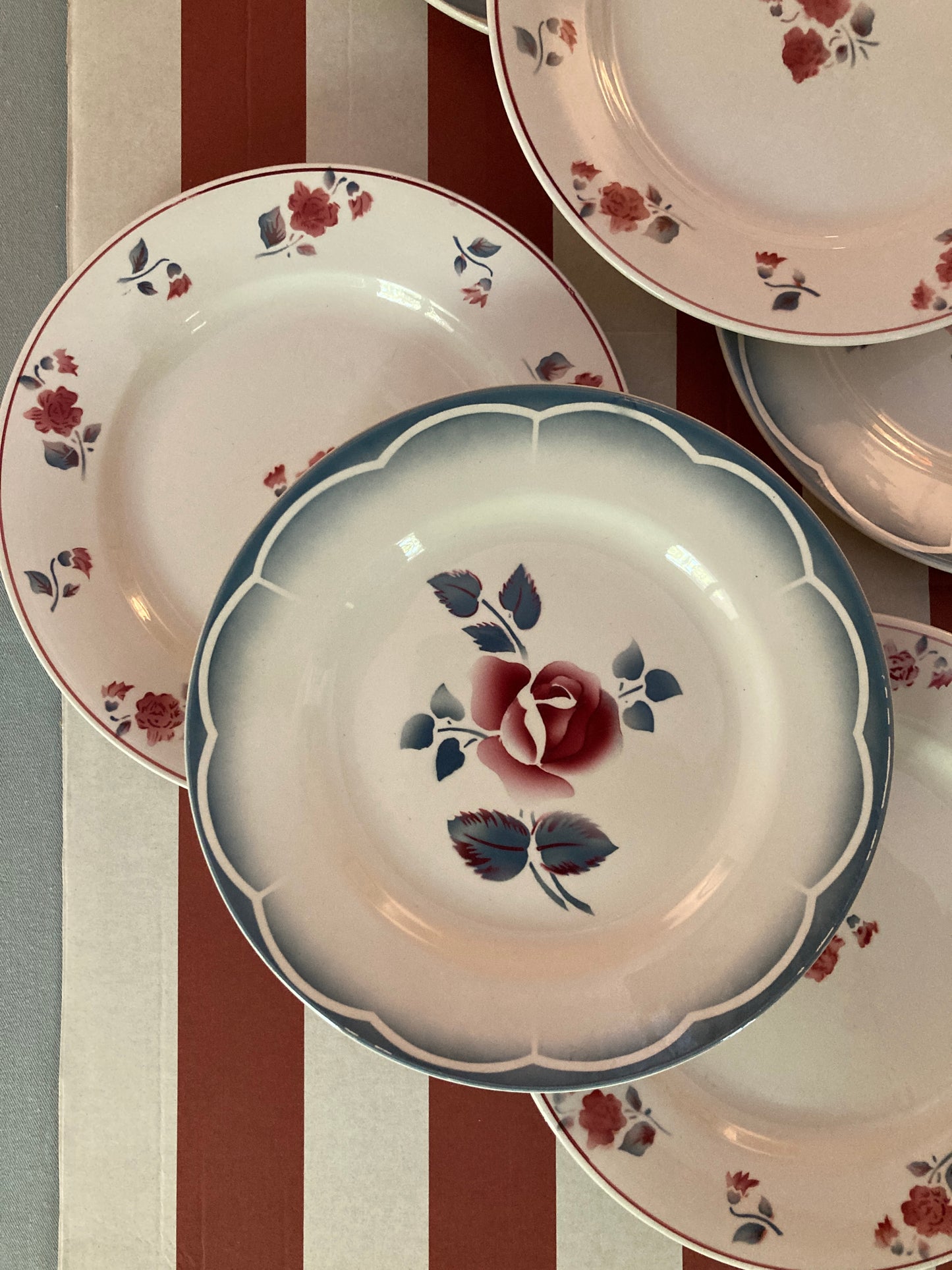 Roses - 6 Assiettes plates