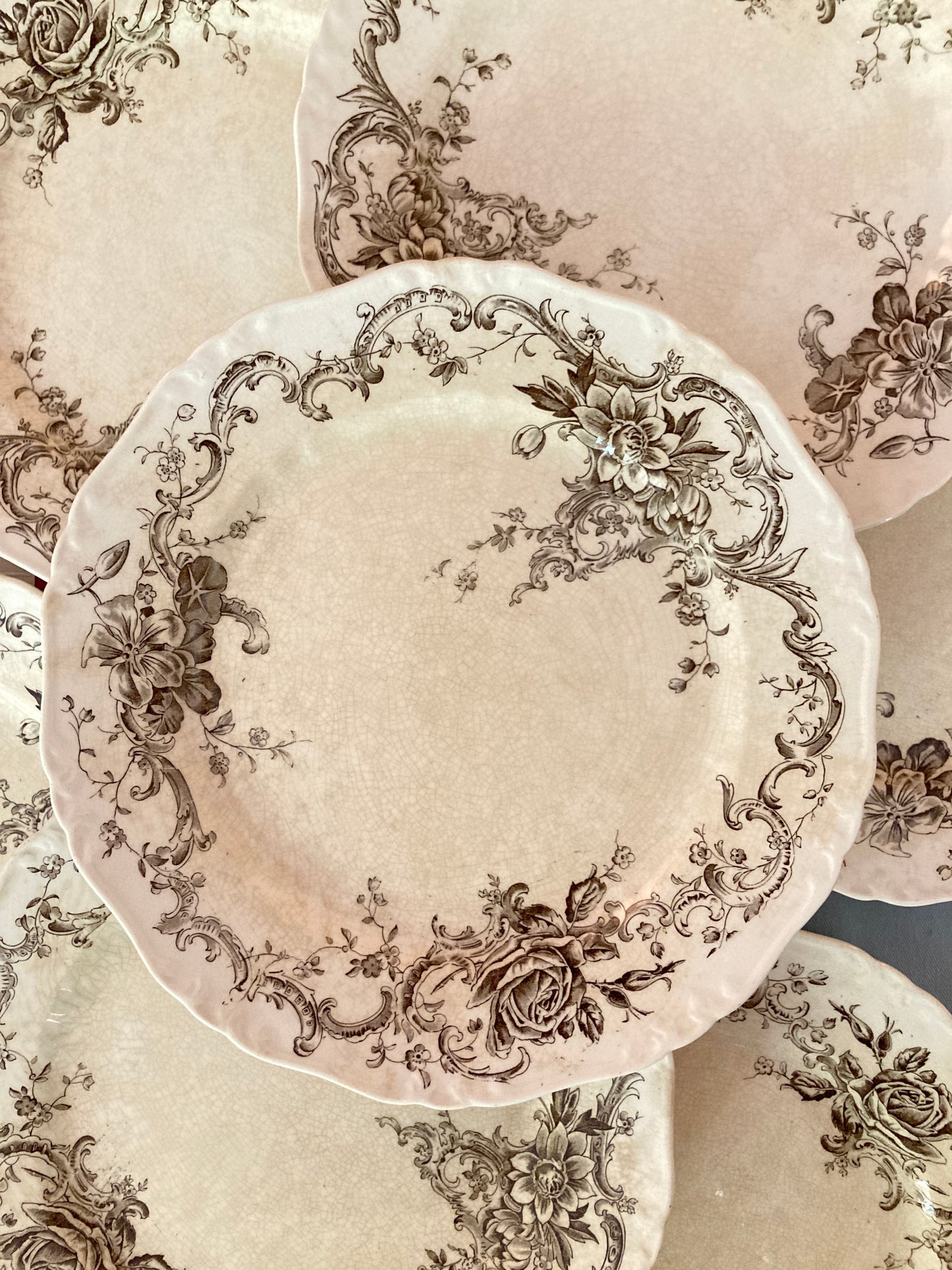 Wentworth - 8 Assiettes plates