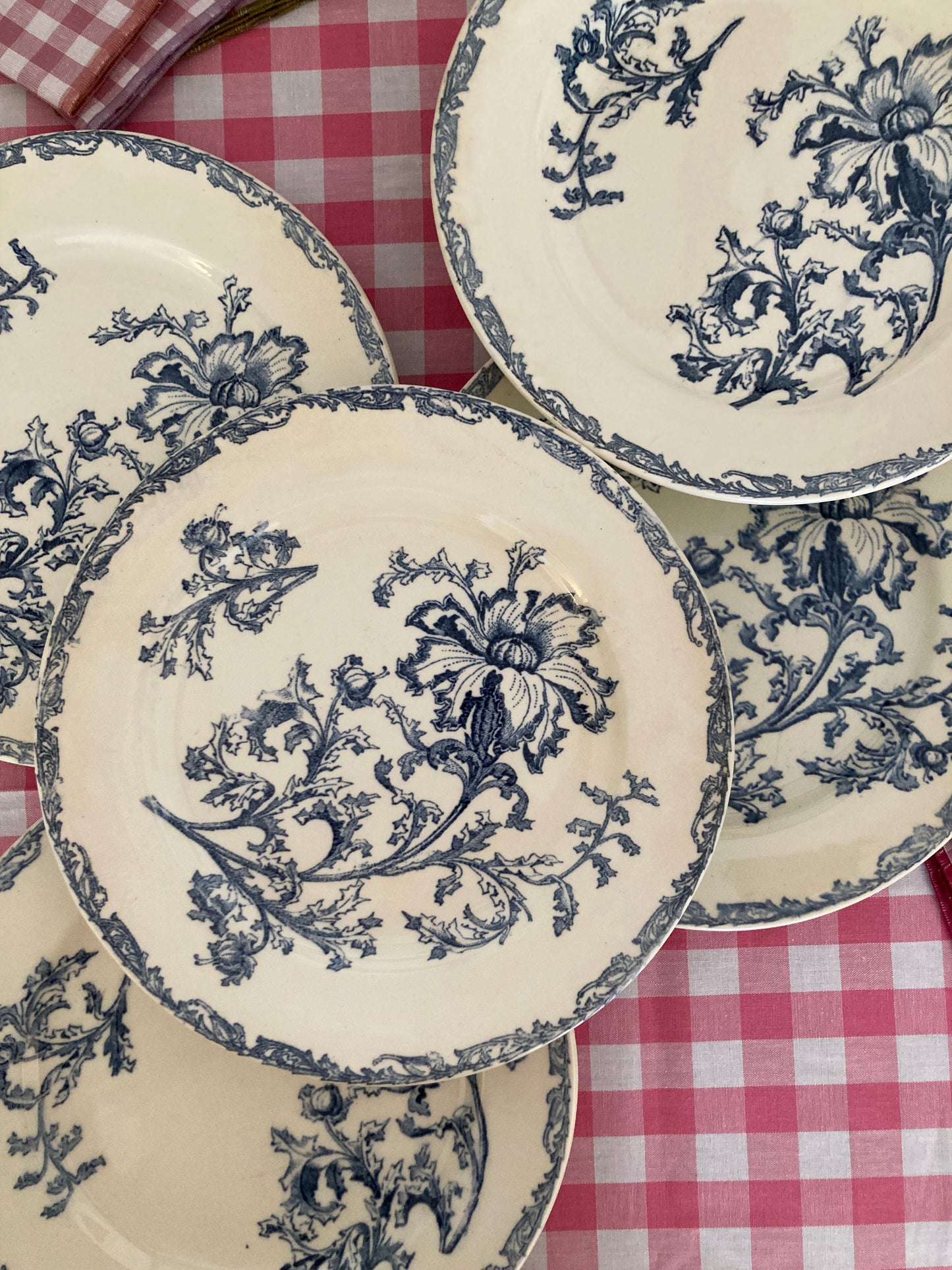 Datura - 6 Assiettes Plates
