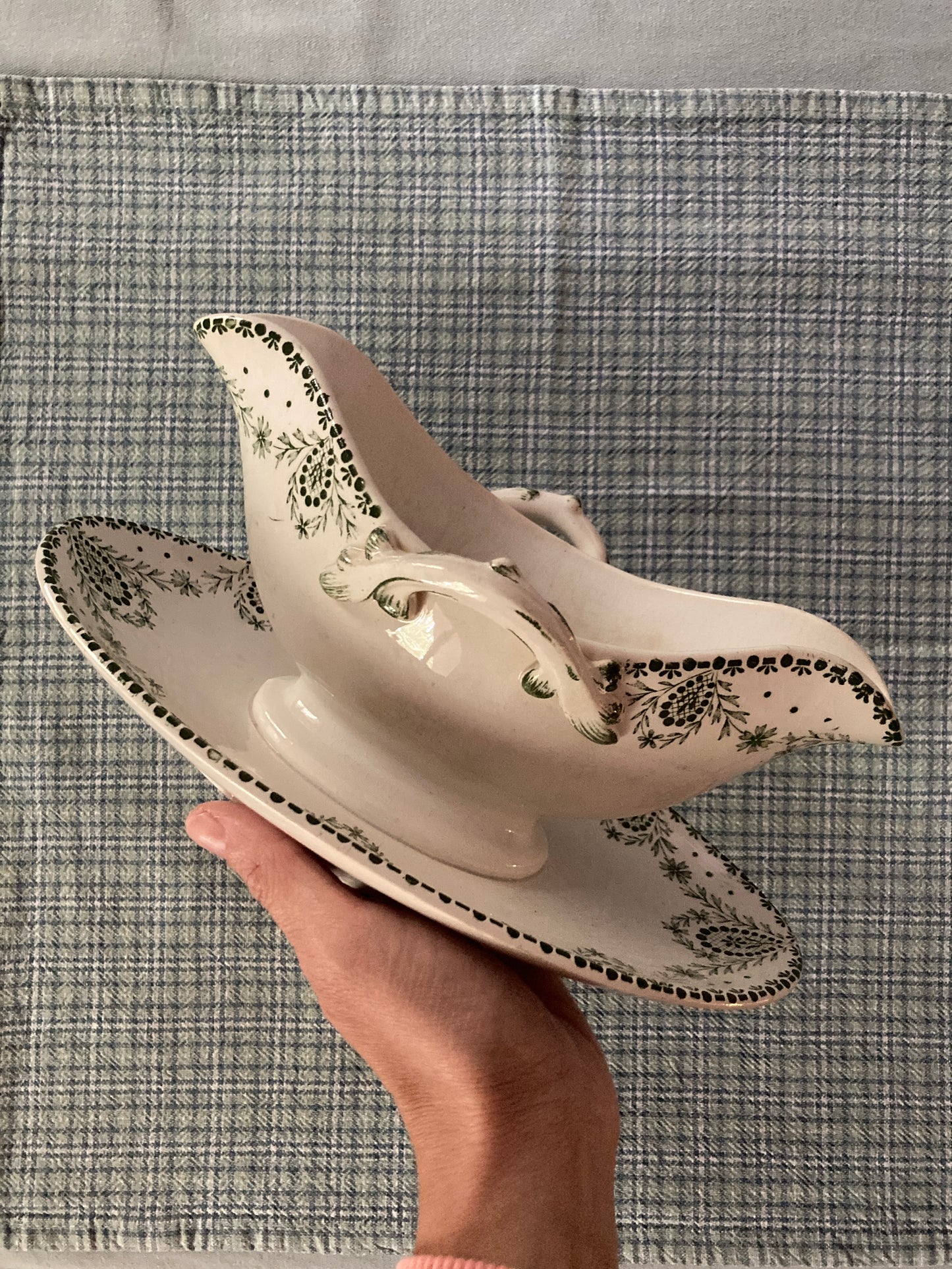 Labrador Saucière