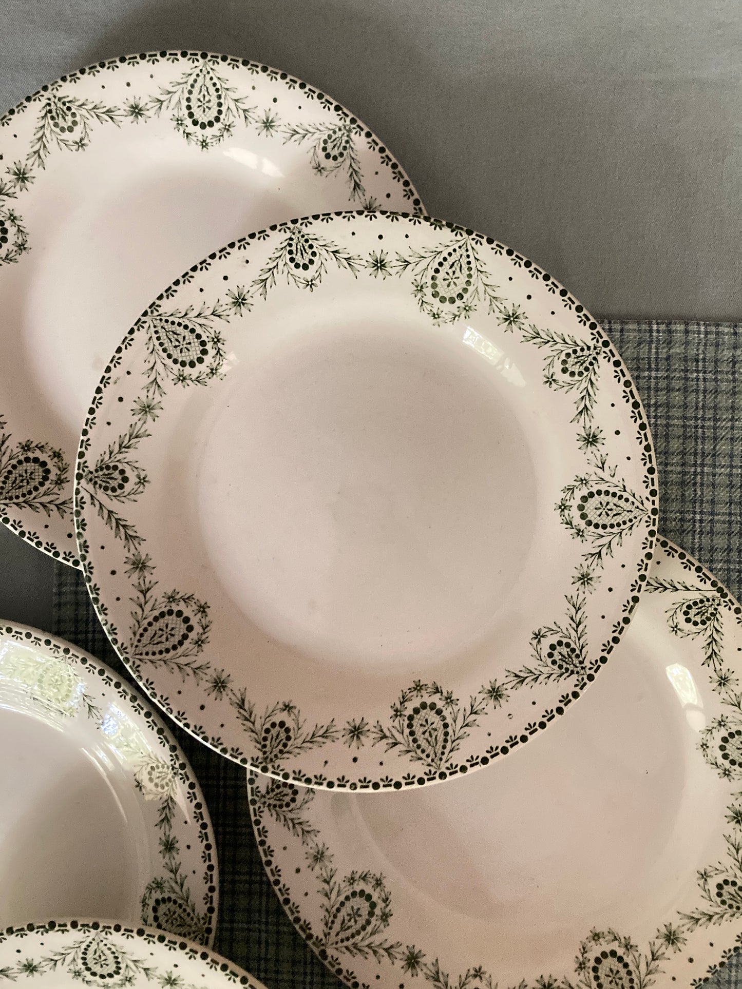 Labrador - 6 Assiettes Plates