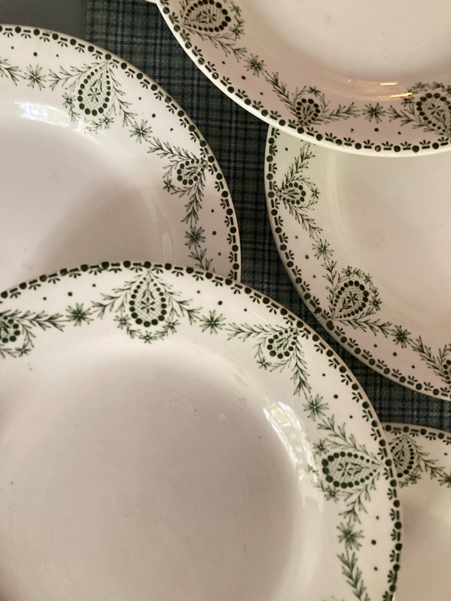 Labrador - 6 Assiettes Plates