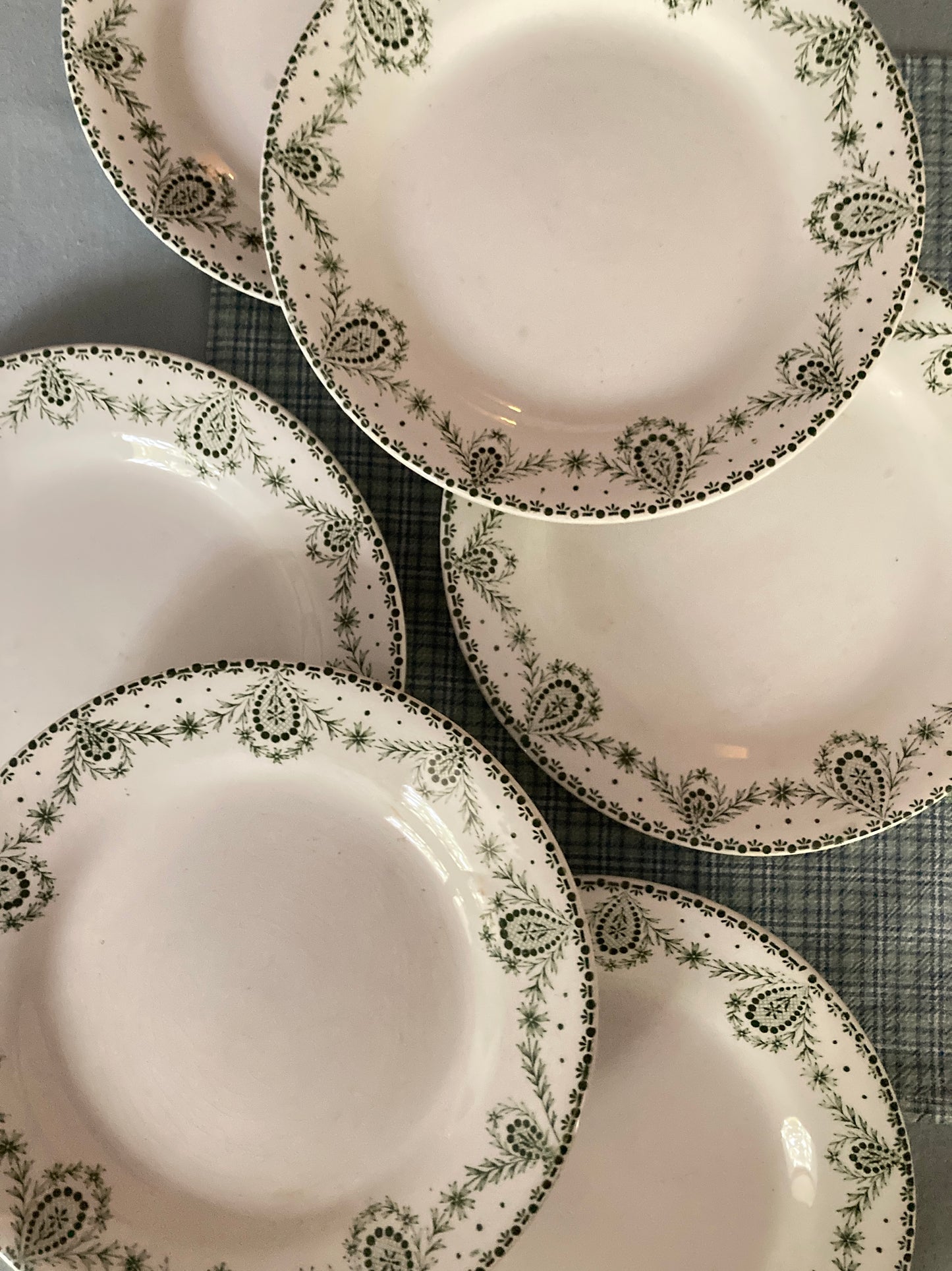 Labrador - 6 Assiettes Plates