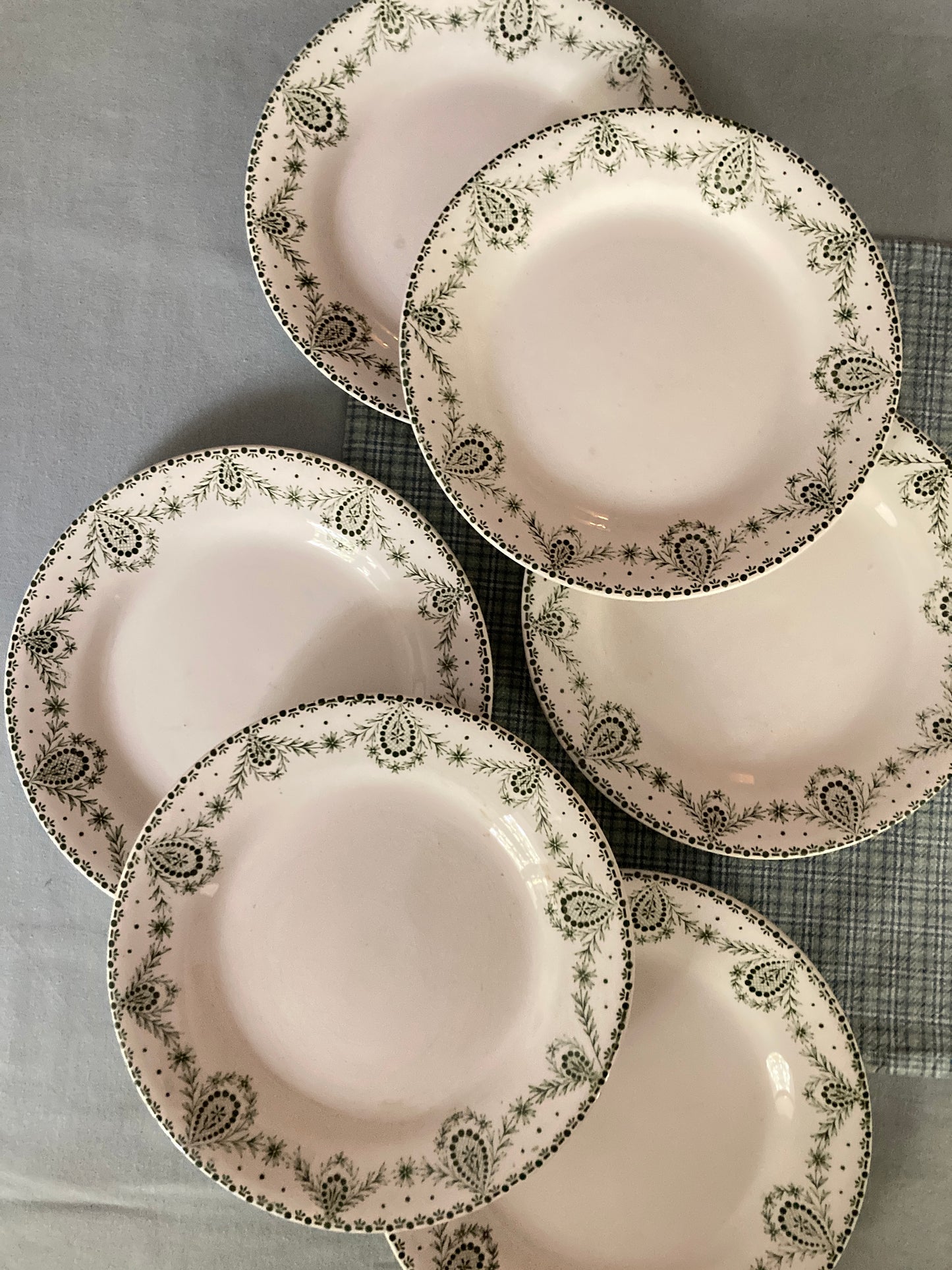 Labrador - 6 Assiettes Plates