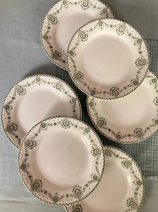 Labrador - 6 Assiettes Plates