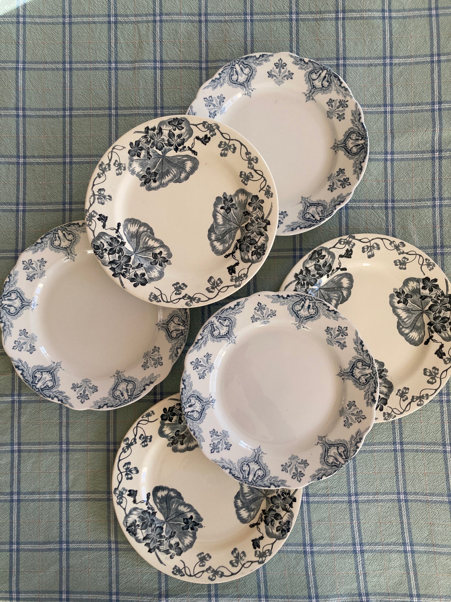 Violettes - 6 Assiettes Plates