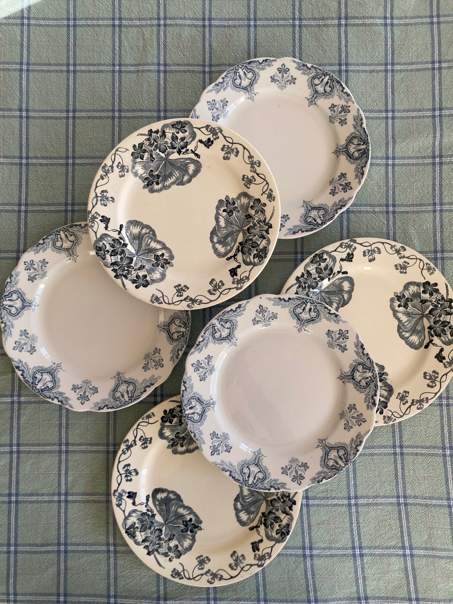Violettes - 6 Assiettes Plates