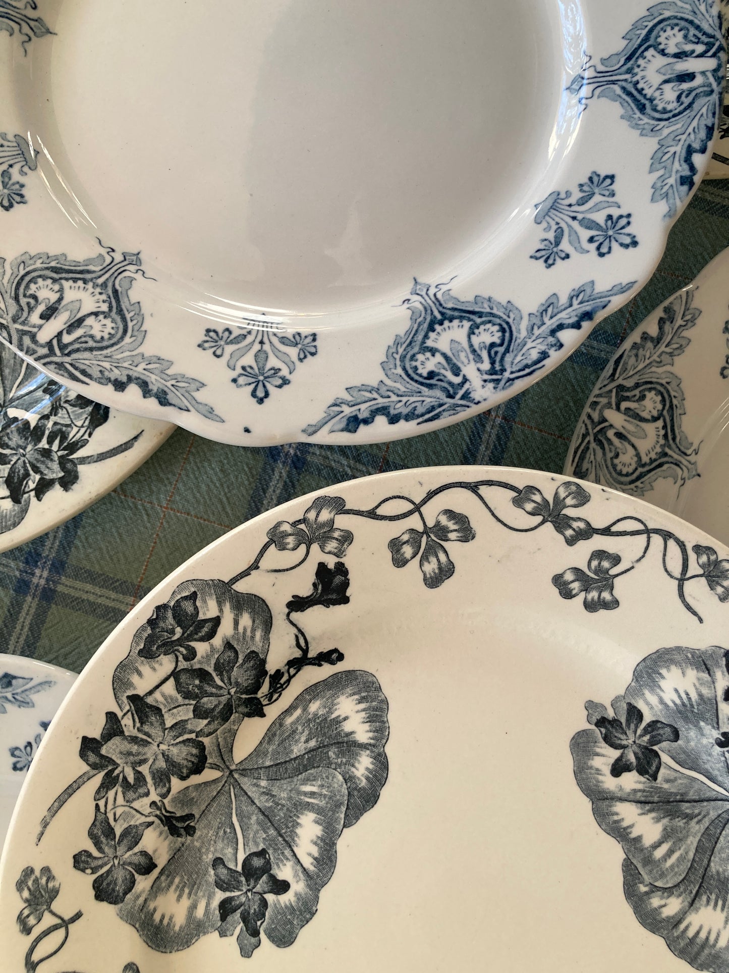 Violettes - 6 Assiettes Plates