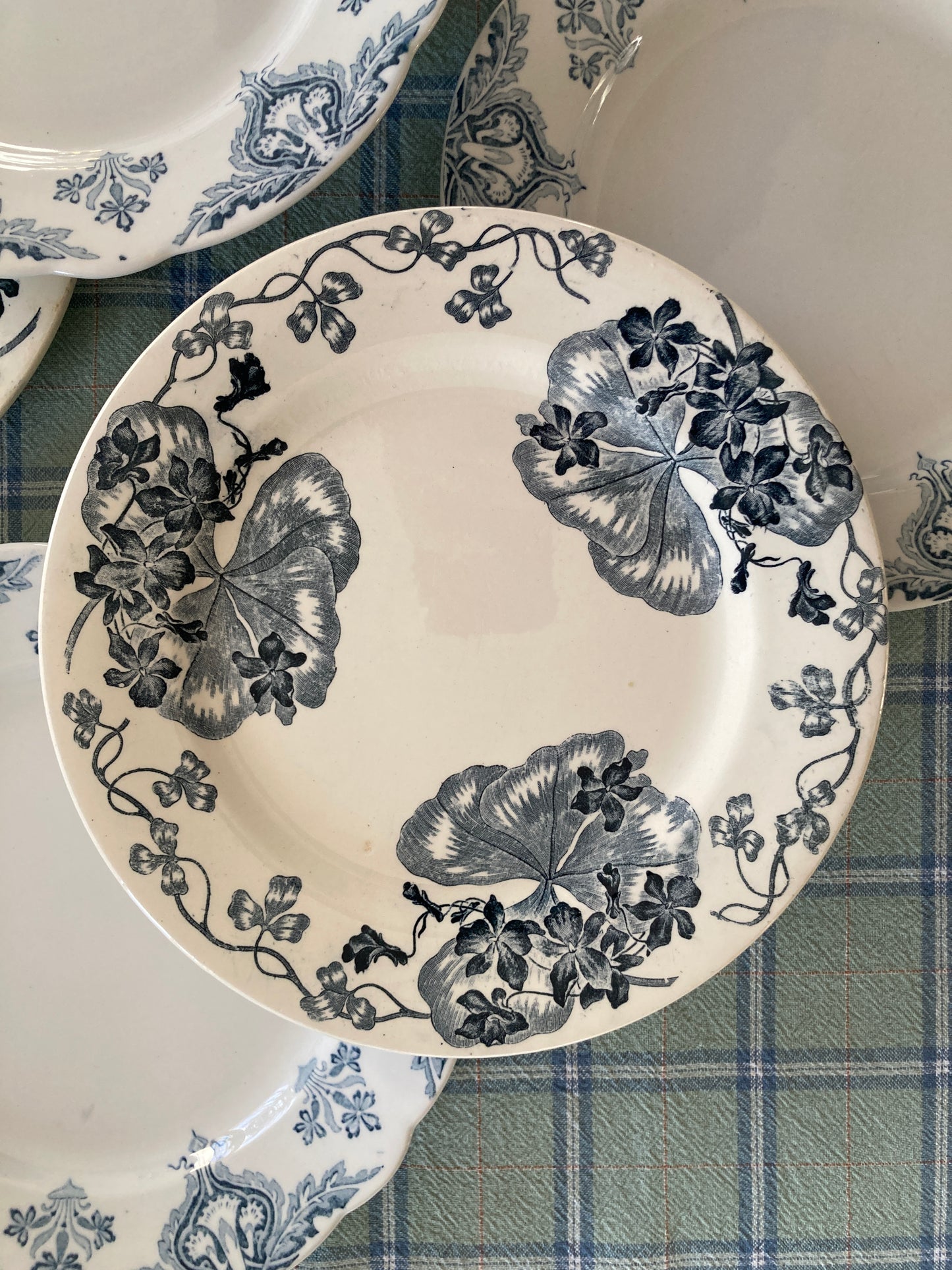 Violettes - 6 Assiettes Plates
