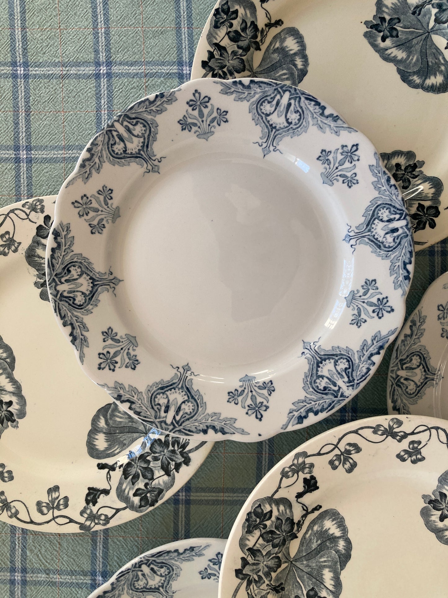 Violettes - 6 Assiettes Plates