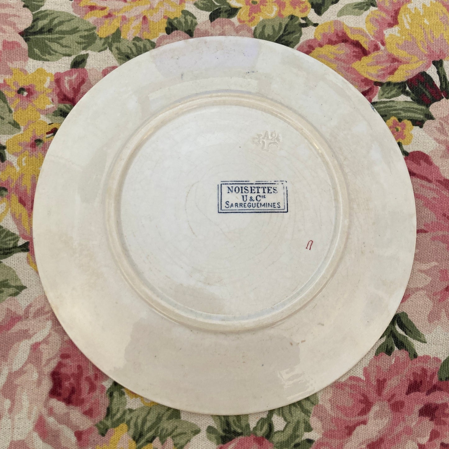 Noisettes Ø21,5cm