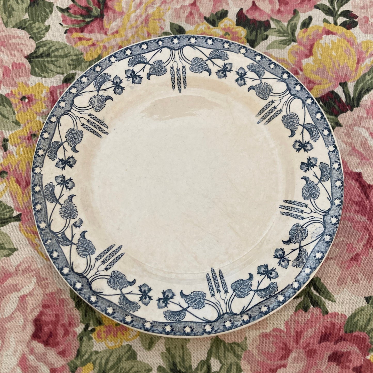 Noisettes Ø21,5cm