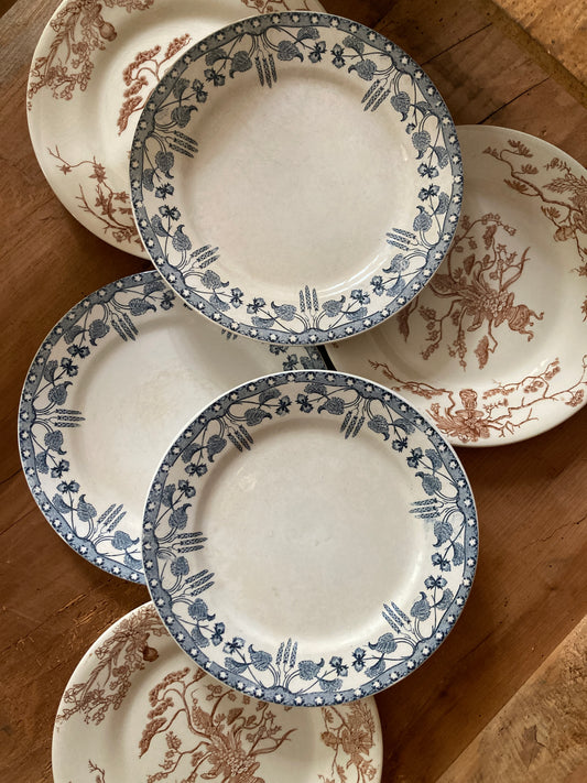 Noisettes - 6 Assiettes à Dessert